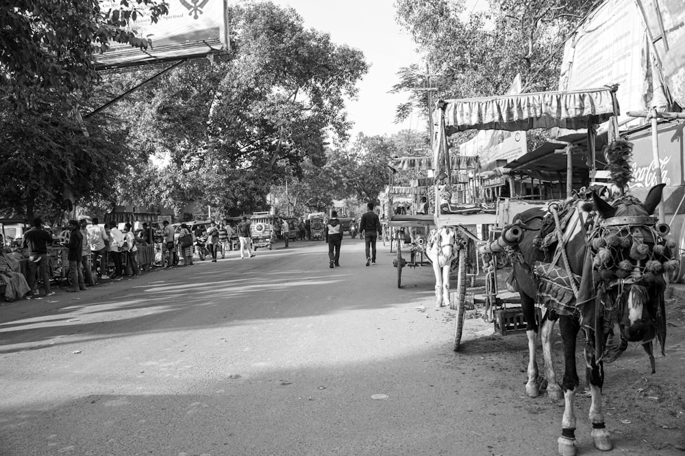 a black and white photo of a horse pulling a cart