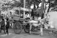 A horse-drawn cart carrying goods through a quiet neighborhood, highlighting traditional transport methods.