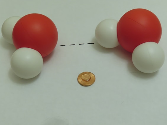 A model of two water molecules is depicted, with each consisting of one large red sphere representing oxygen and two smaller white spheres representing hydrogen. They are placed with a dotted line between them, suggesting a hydrogen bond. A coin is positioned below the molecules for scale reference.