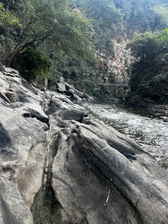 A natural rock formation lines the edge of a river, with large, smooth boulders leading towards the water. The river flows calmly through a narrow gorge surrounded by lush green trees. The vegetation clings to the steep rock face, creating a serene and secluded atmosphere.
