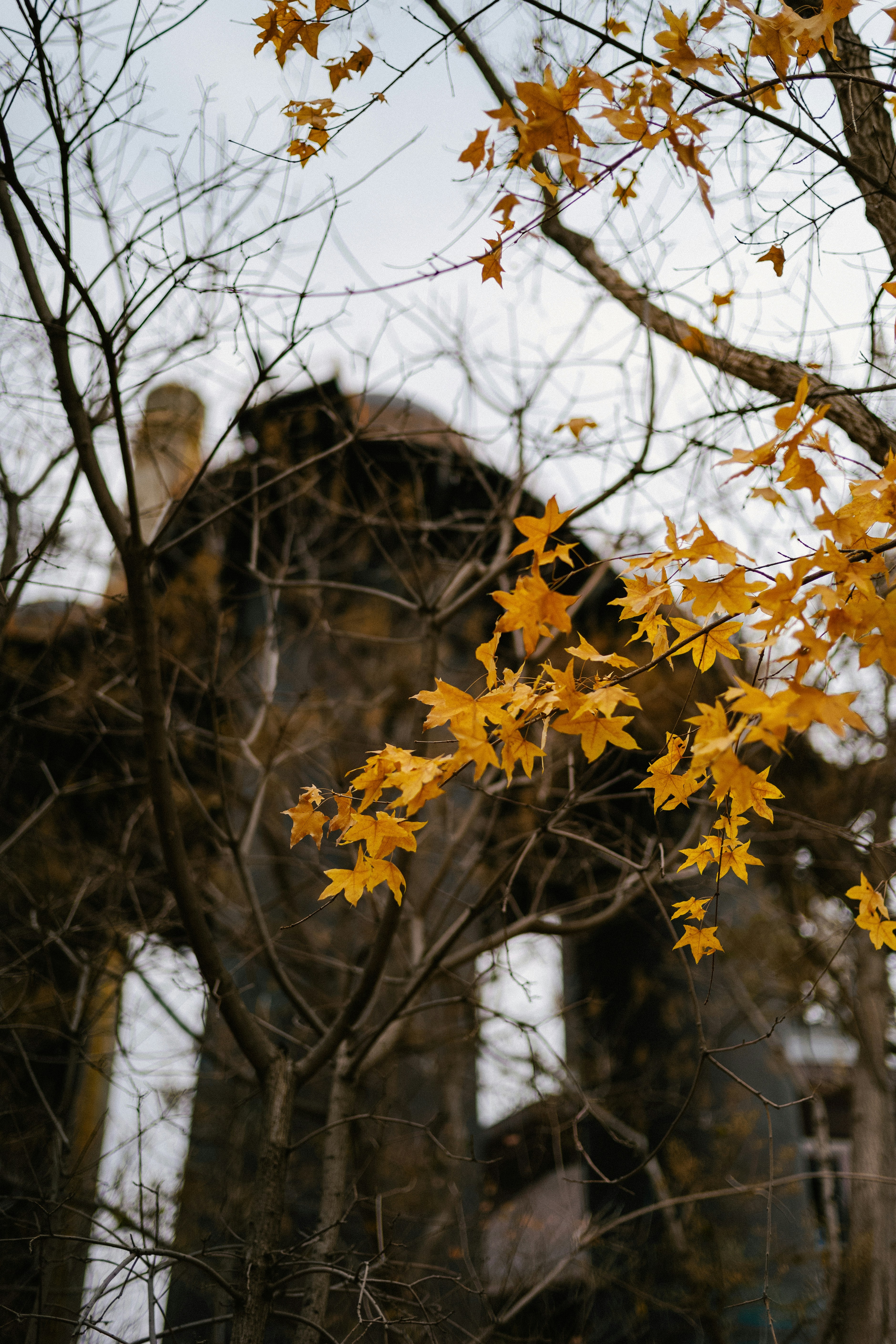 Photo by tommaomaoer