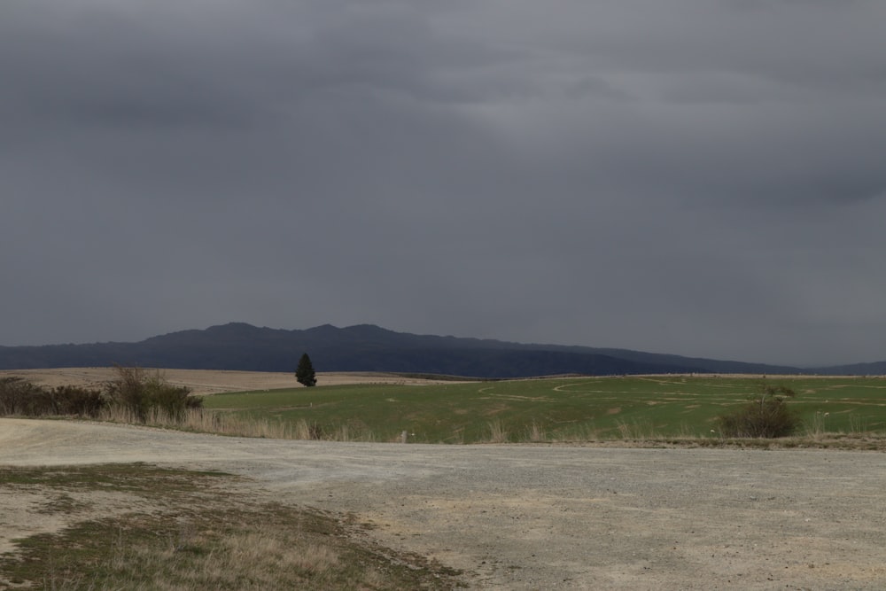 a dirt road with a lone tree in the distance