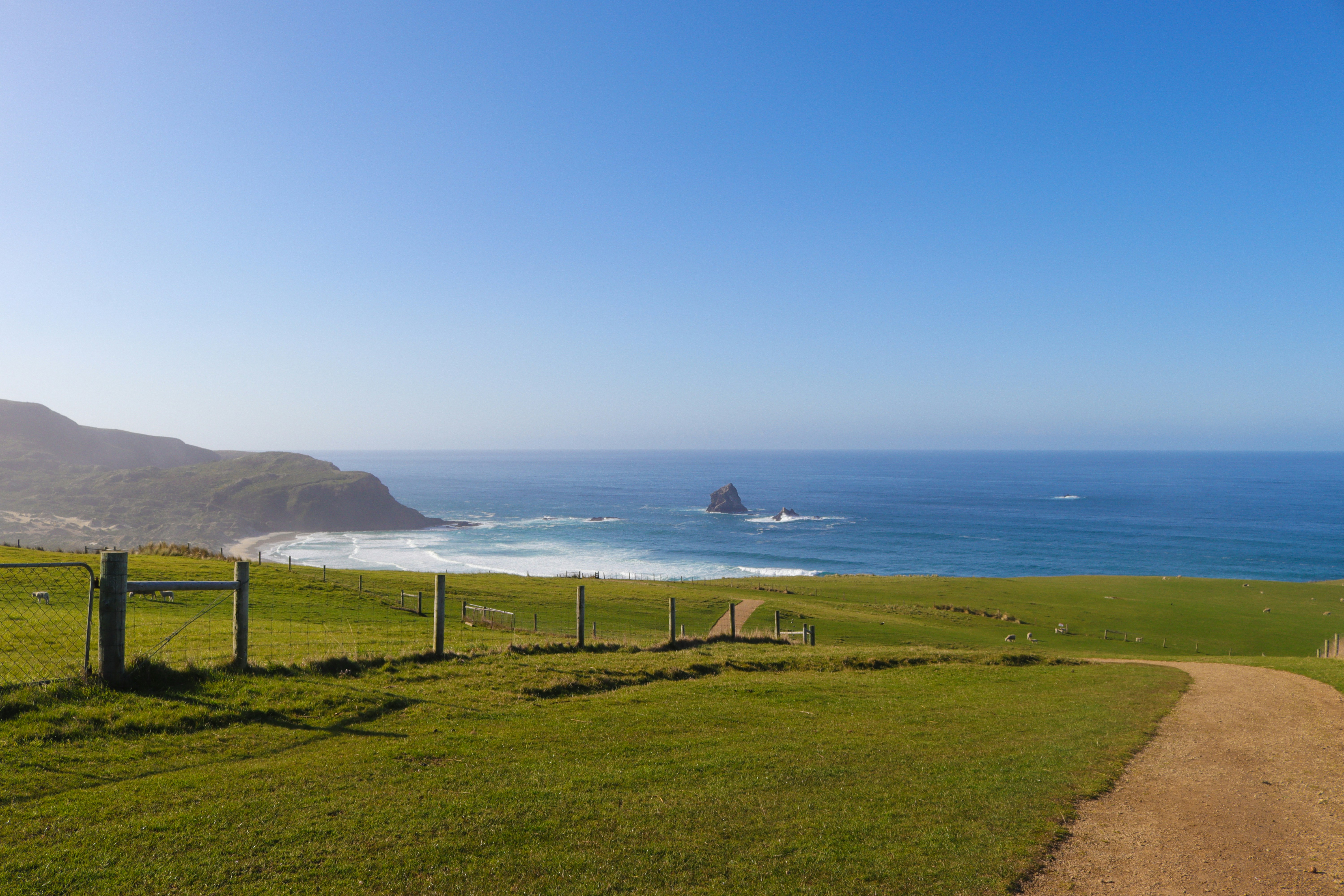 a dirt path leading to a grassy field next to the ocean