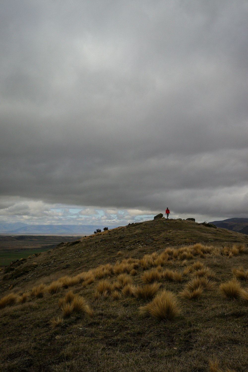 a person standing on top of a grass covered hill