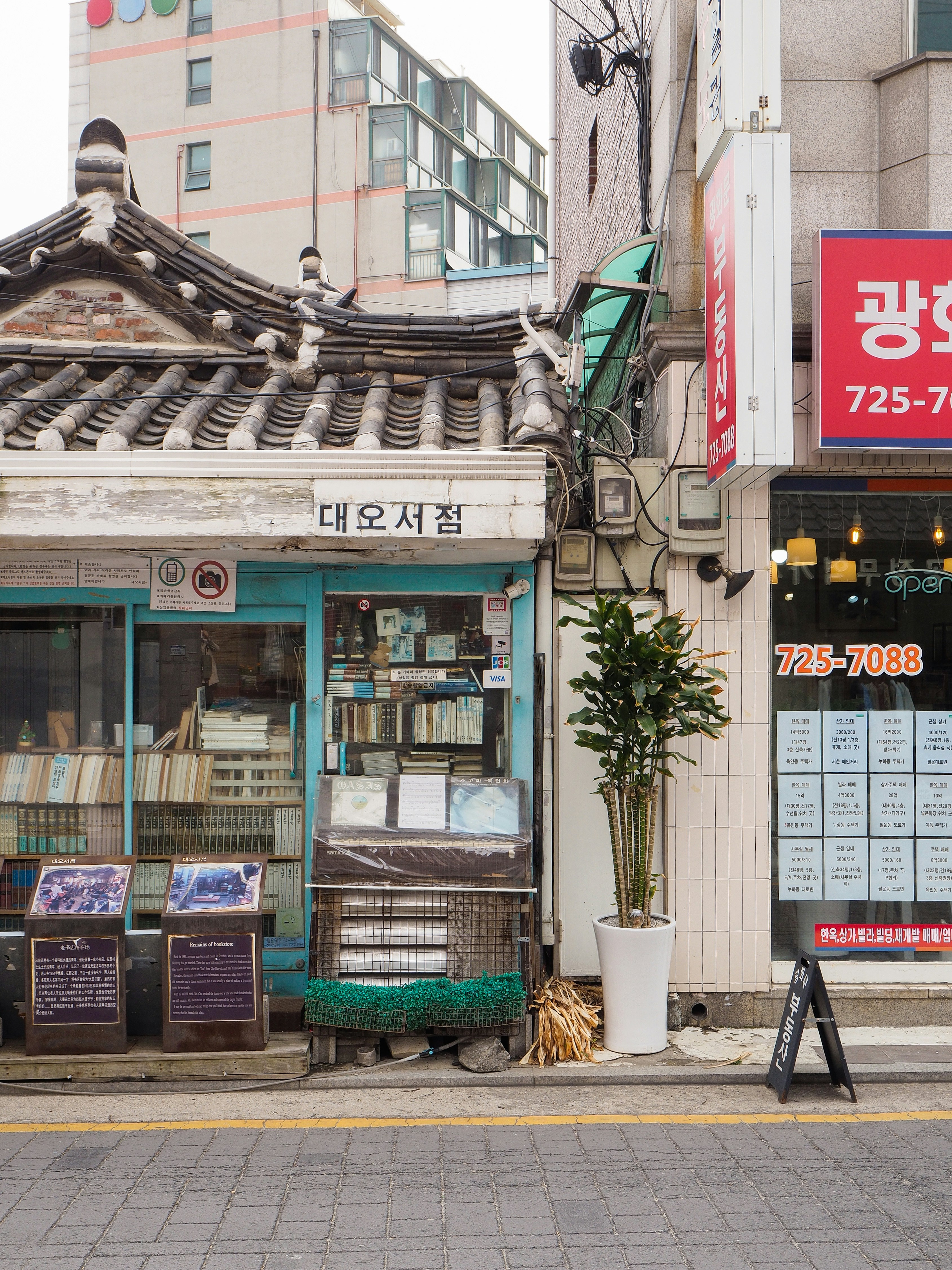 Photo by ruthietoothy