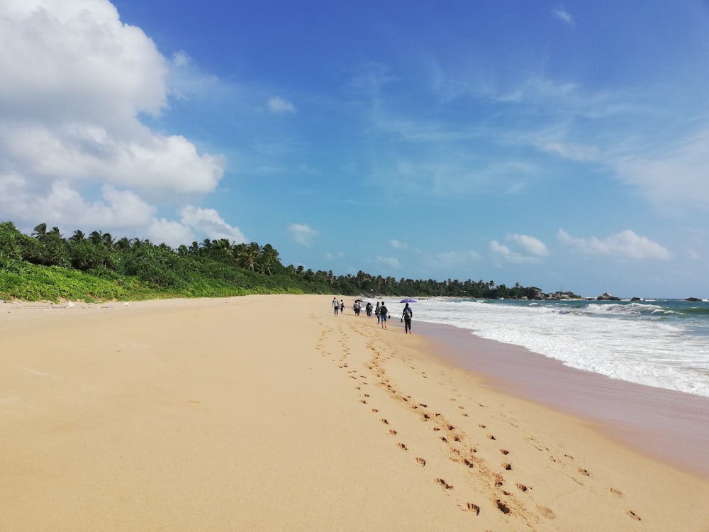 a group of people walking along a beach next to the ocean