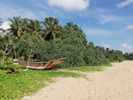 A private boat anchored near a secluded beach with white sand and palm trees.