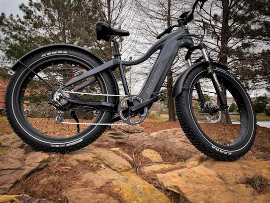 A black fat-tire electric bike is positioned on a rocky terrain surrounded by pine trees. The bike features large, rugged tires, a sturdy frame, and a visible chain mechanism. The brand name 'DENAGO' is printed on the bike's body.