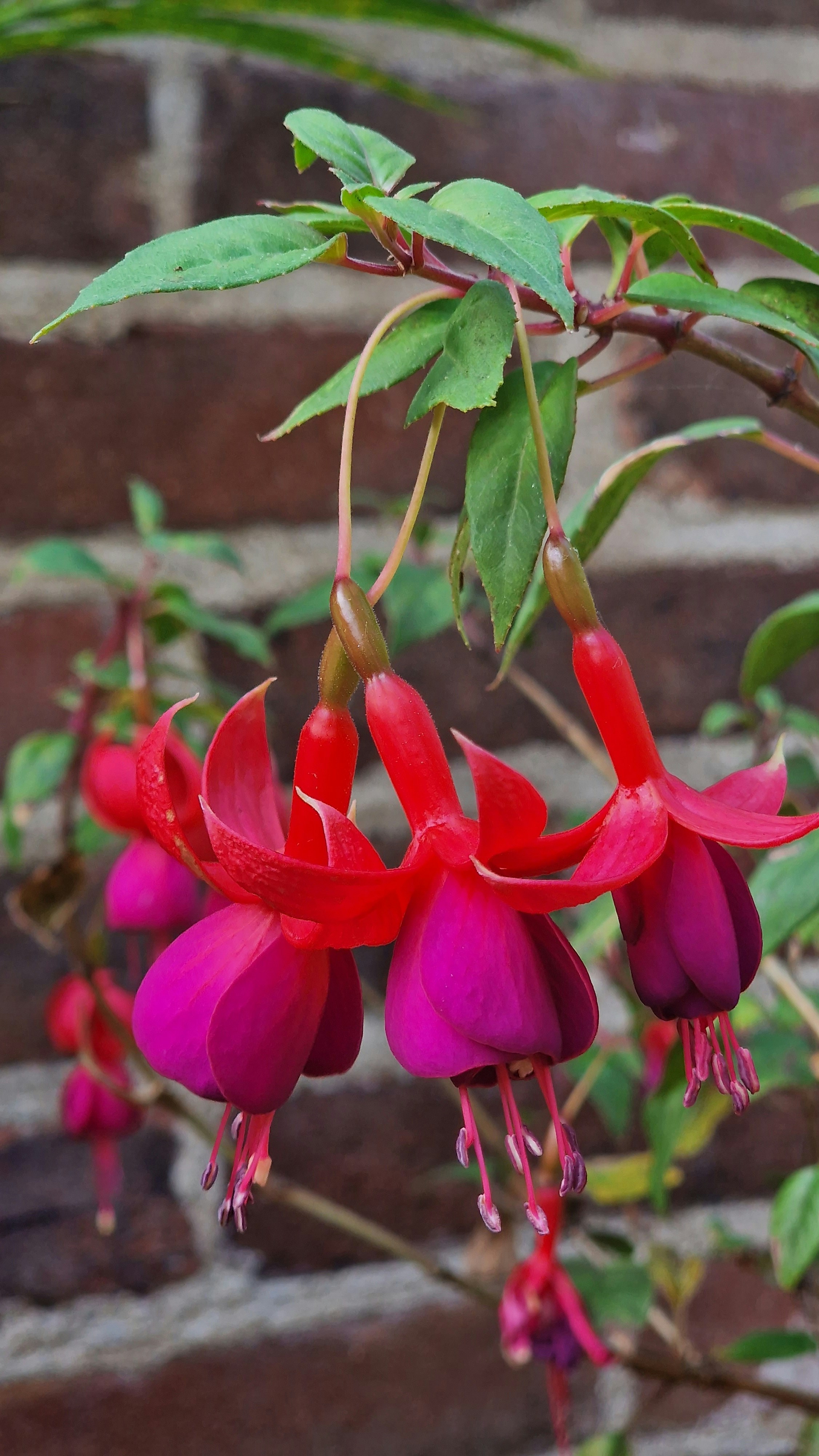 Photo by fatemehalizadeh_