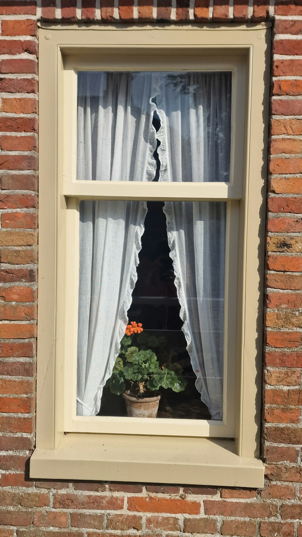 a window that has a potted plant in it