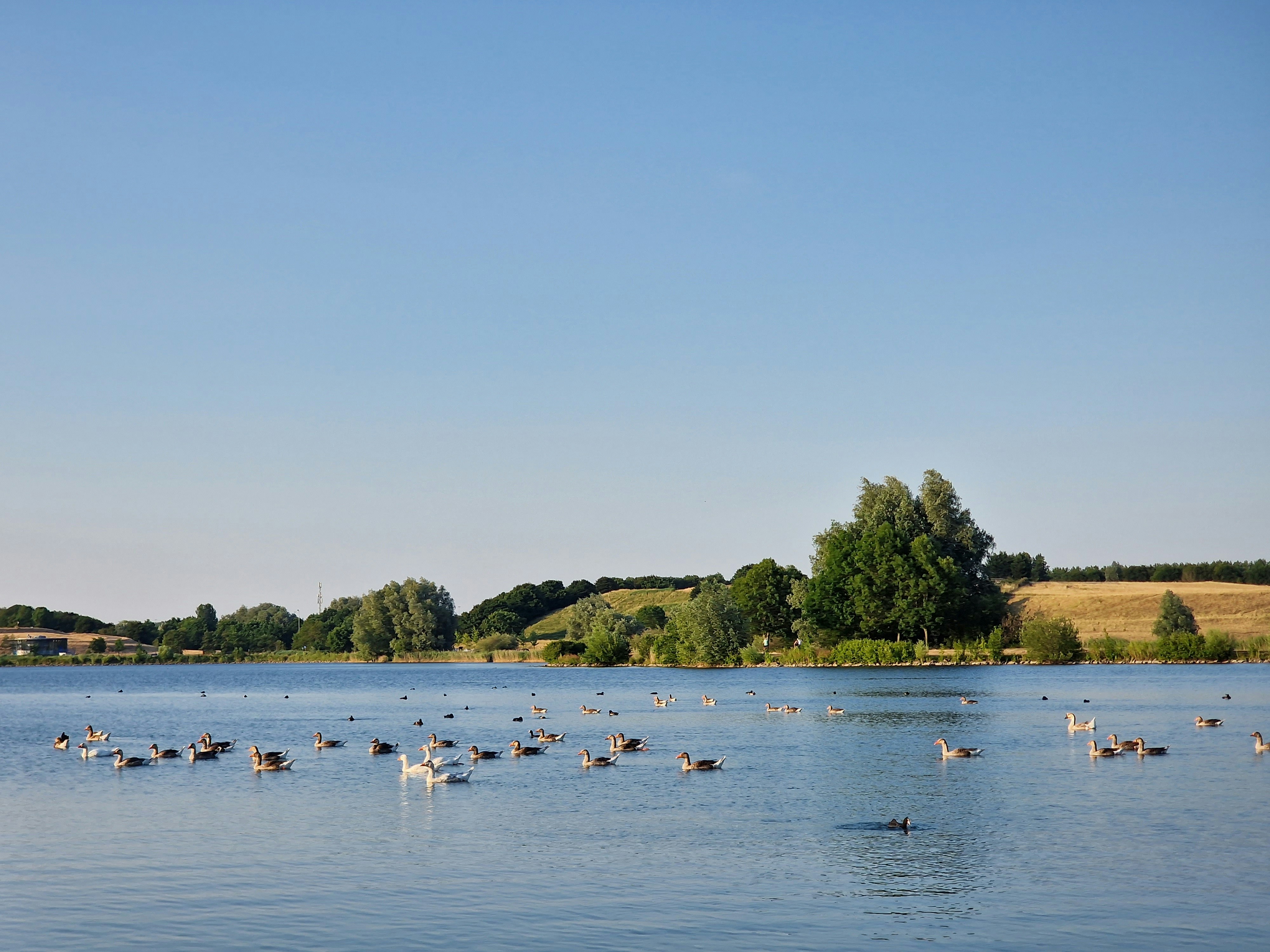 Photo by fatemehalizadeh_