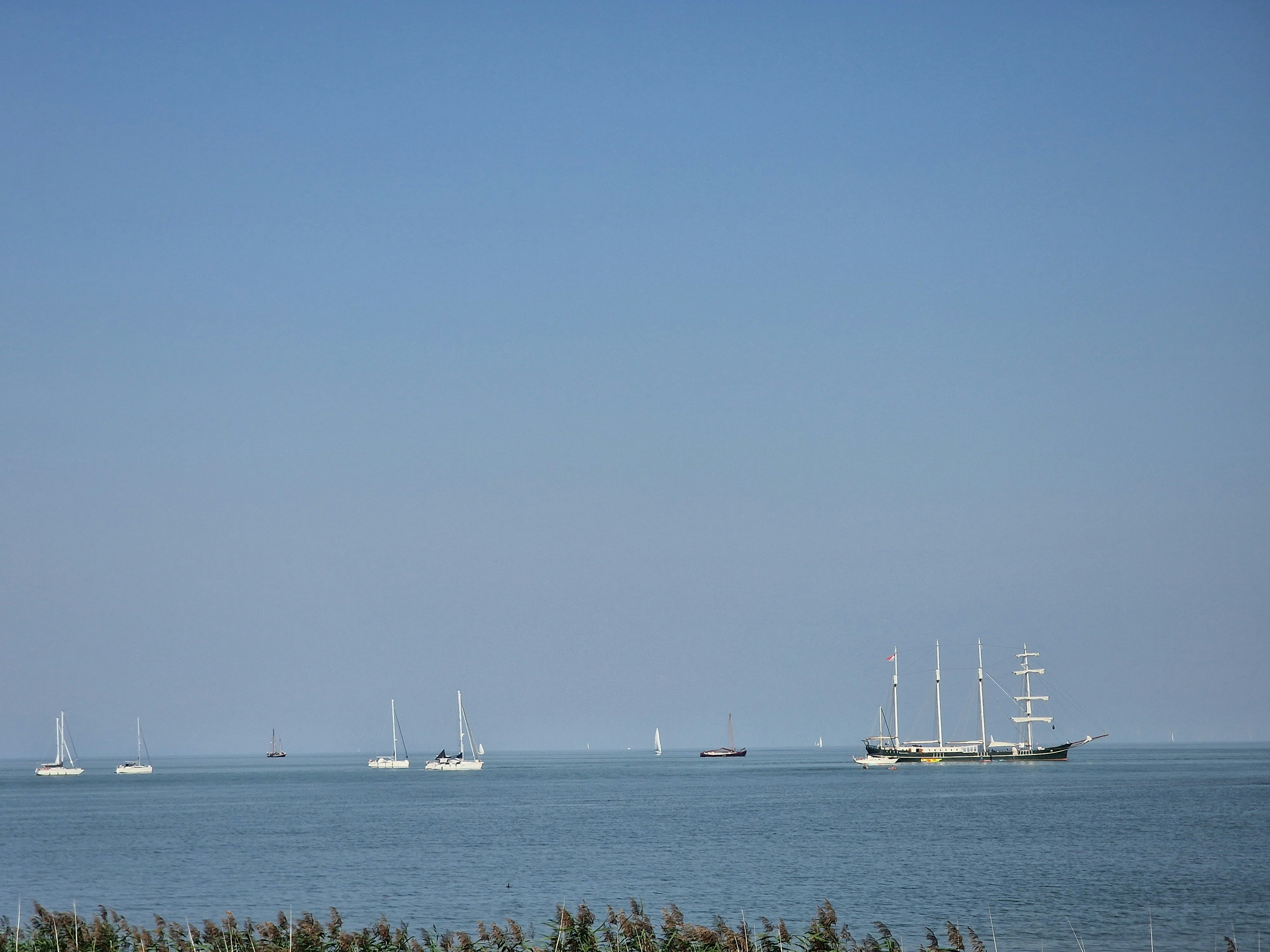 Photo by fatemehalizadeh_