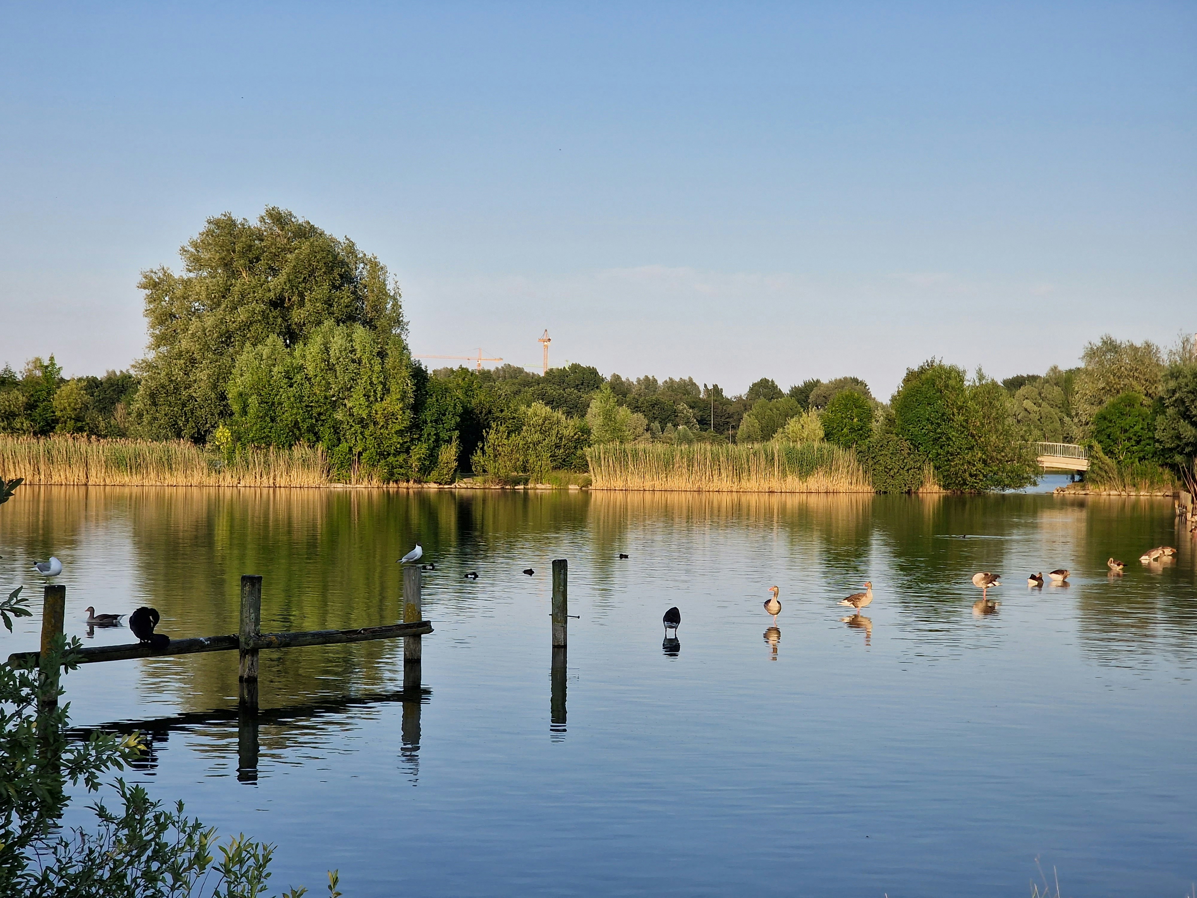 Photo by fatemehalizadeh_