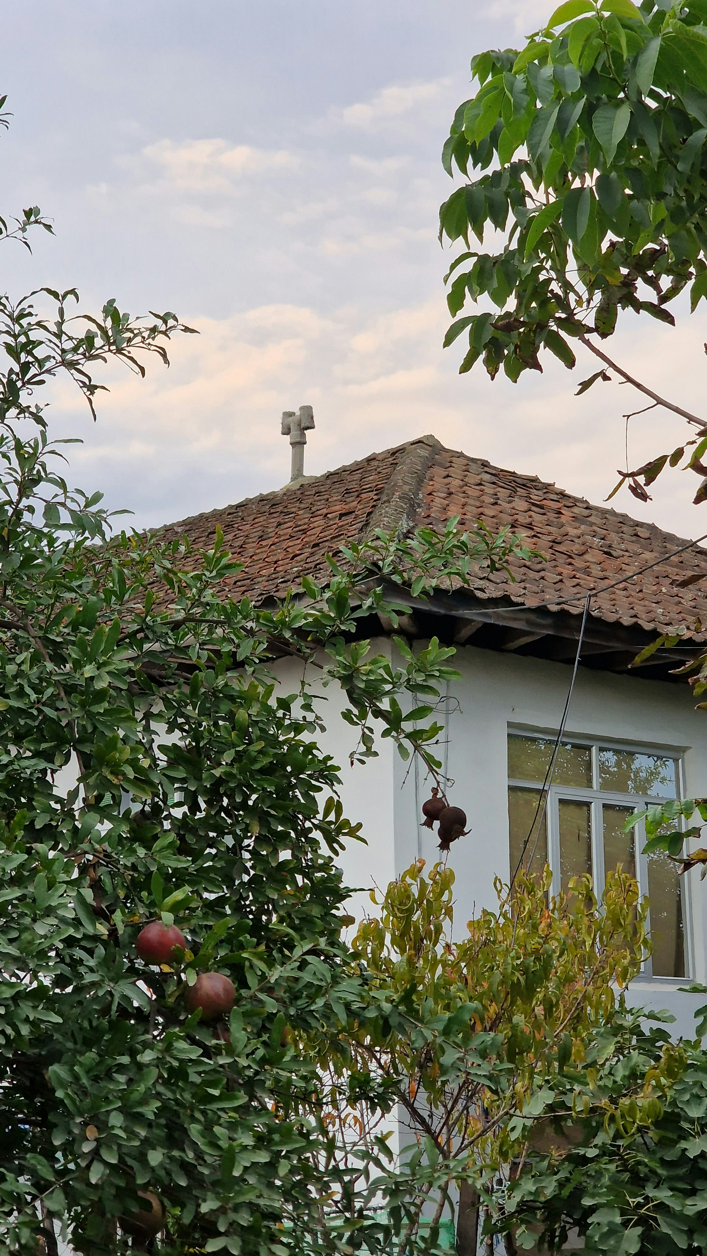 Photo by fatemehalizadeh_