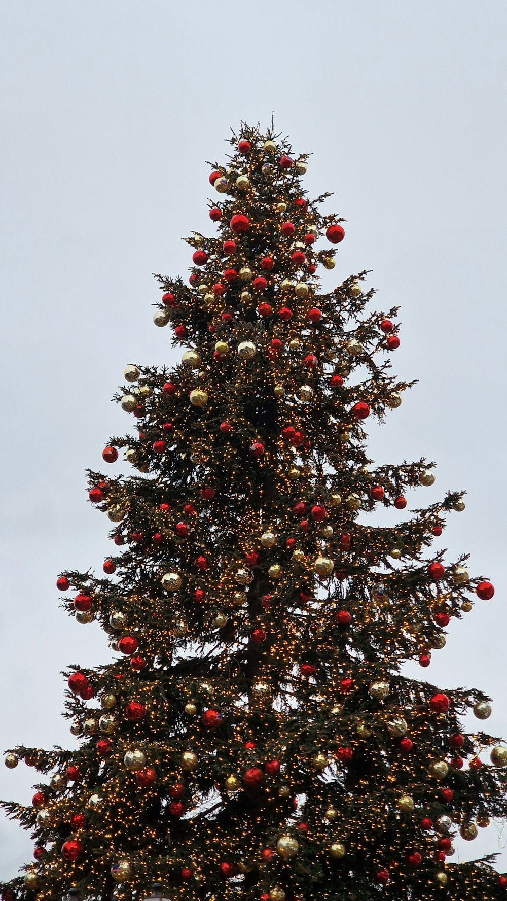 a very tall christmas tree with red and gold ornaments