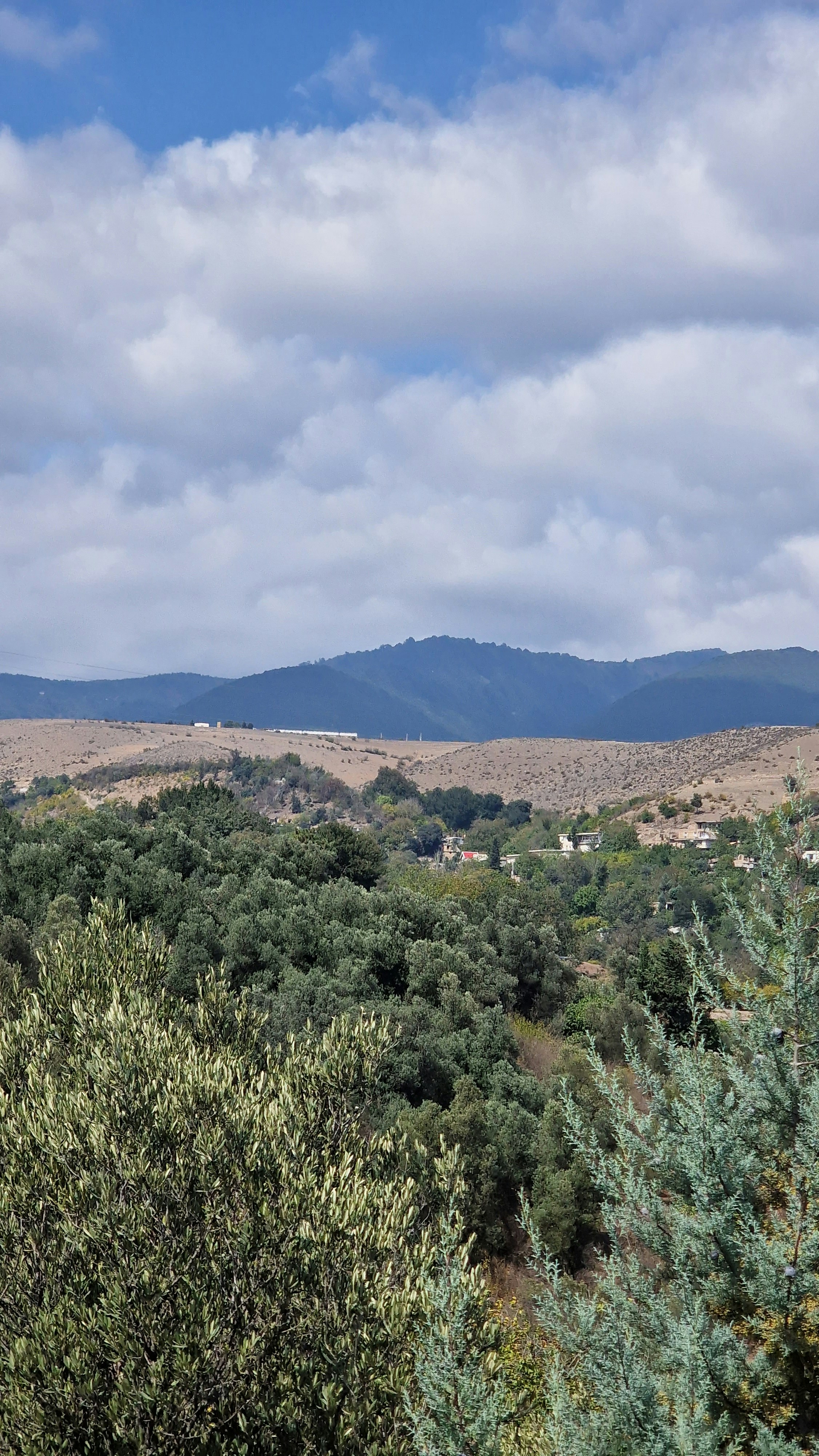 Photo by fatemehalizadeh_