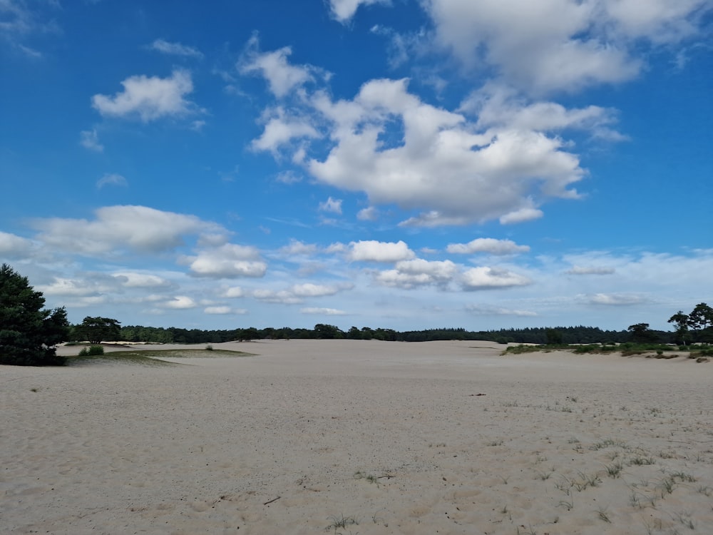a sandy area with trees and clouds in the sky