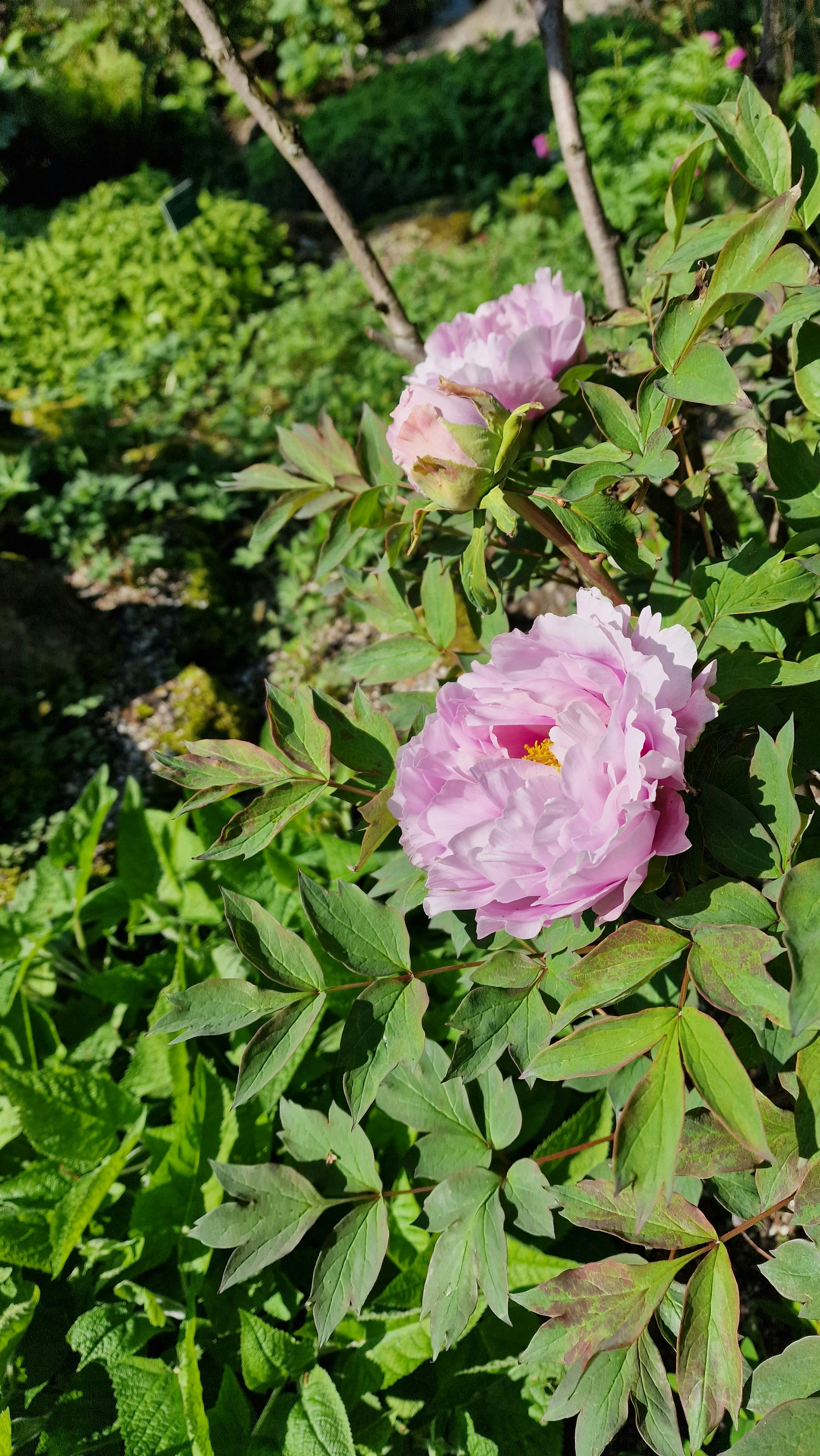 Photo by fatemehalizadeh_