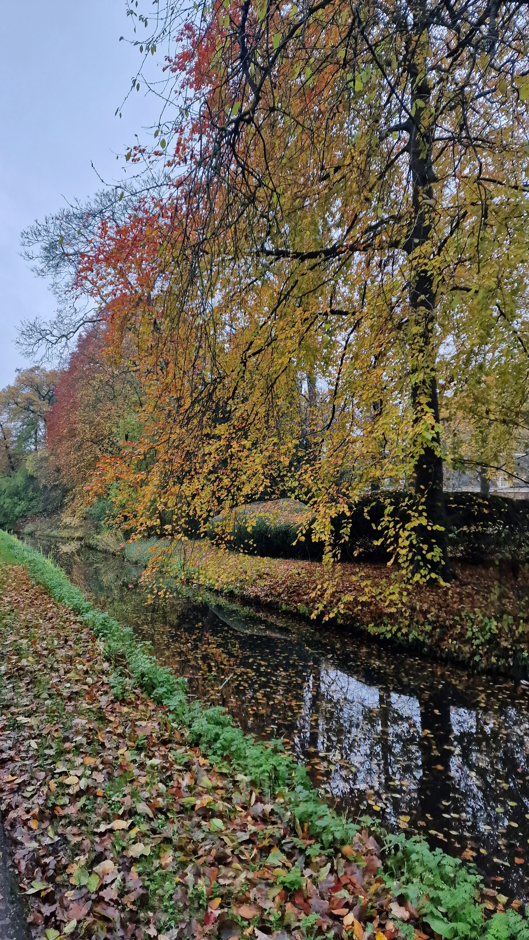 Photo by fatemehalizadeh_