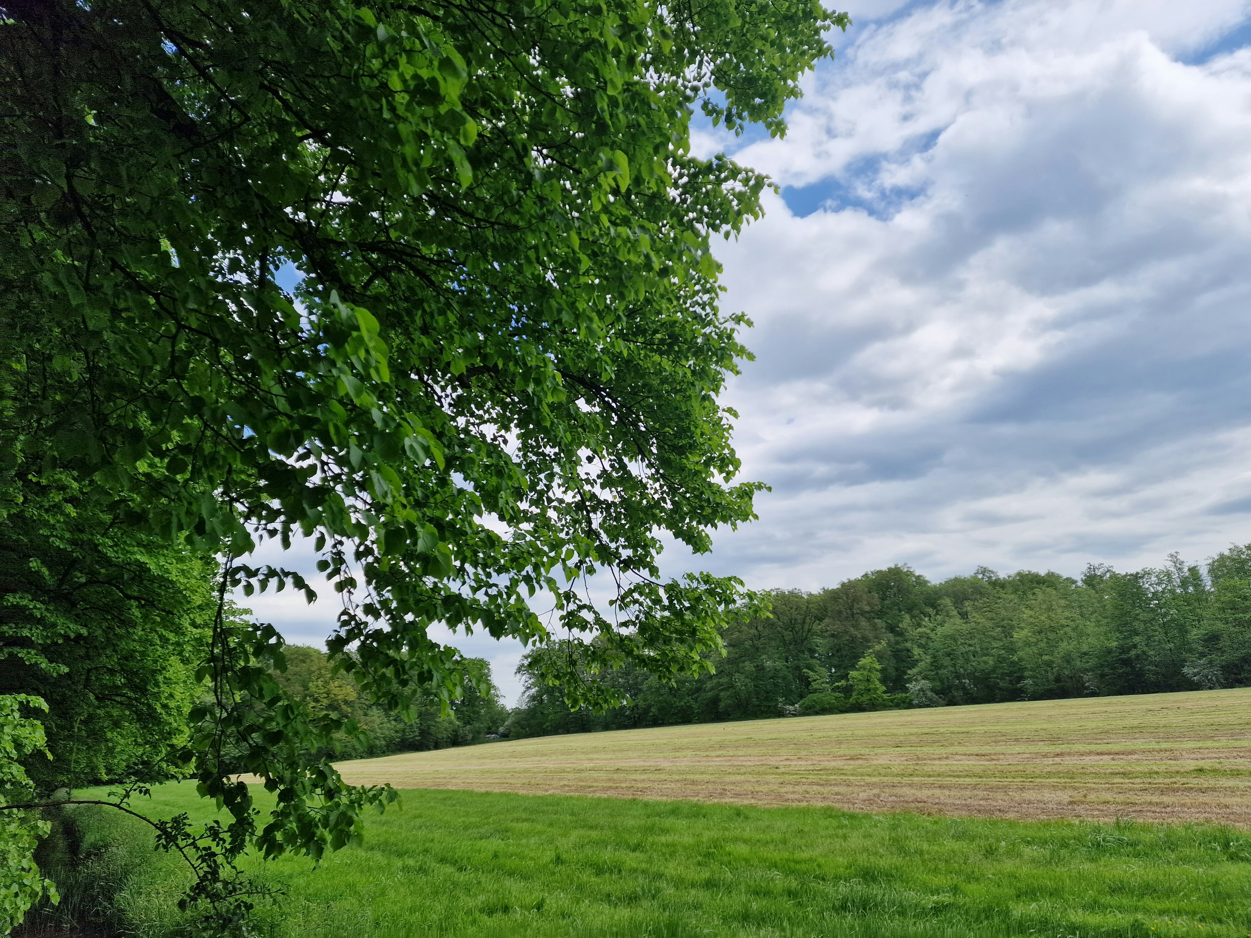 Photo by fatemehalizadeh_