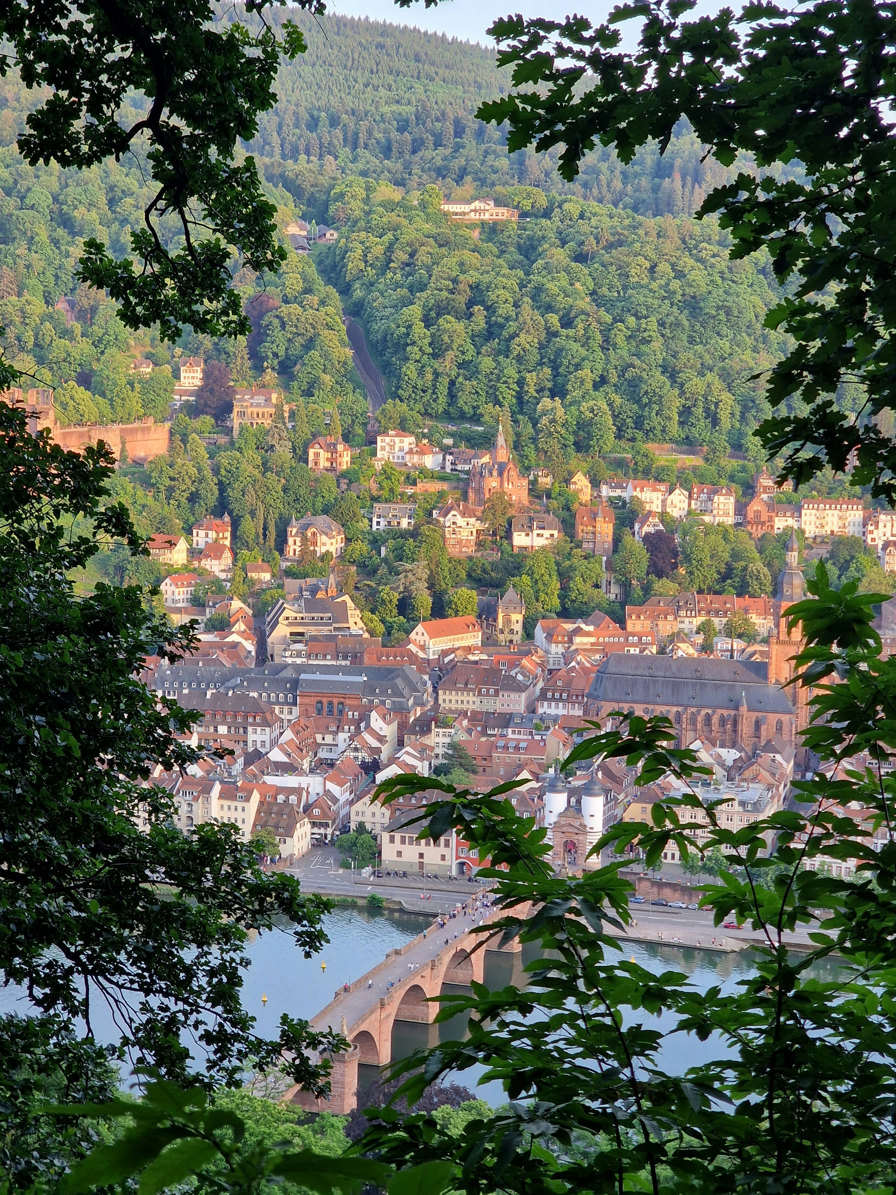 Photo by fatemehalizadeh_