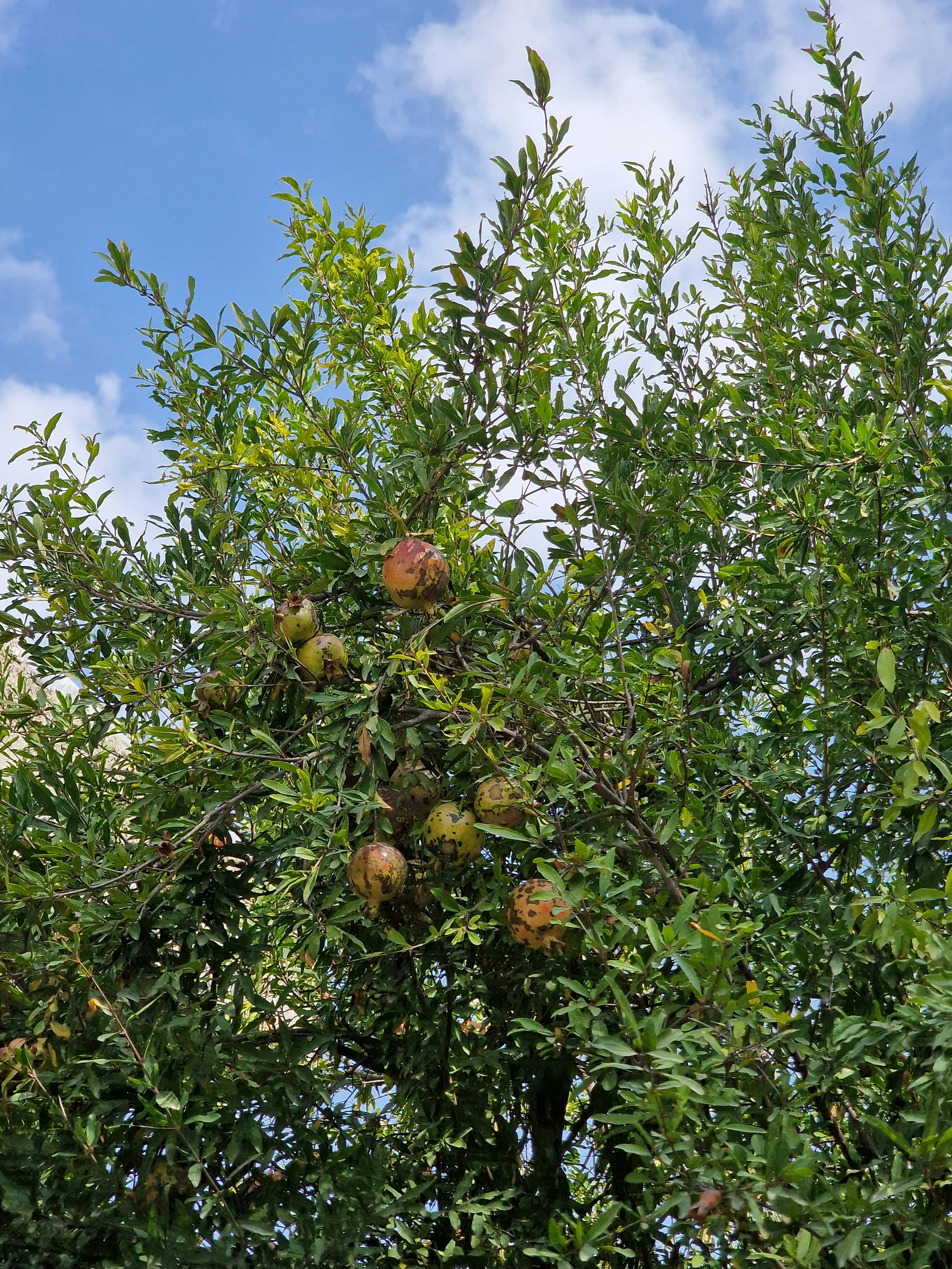 Photo by fatemehalizadeh_