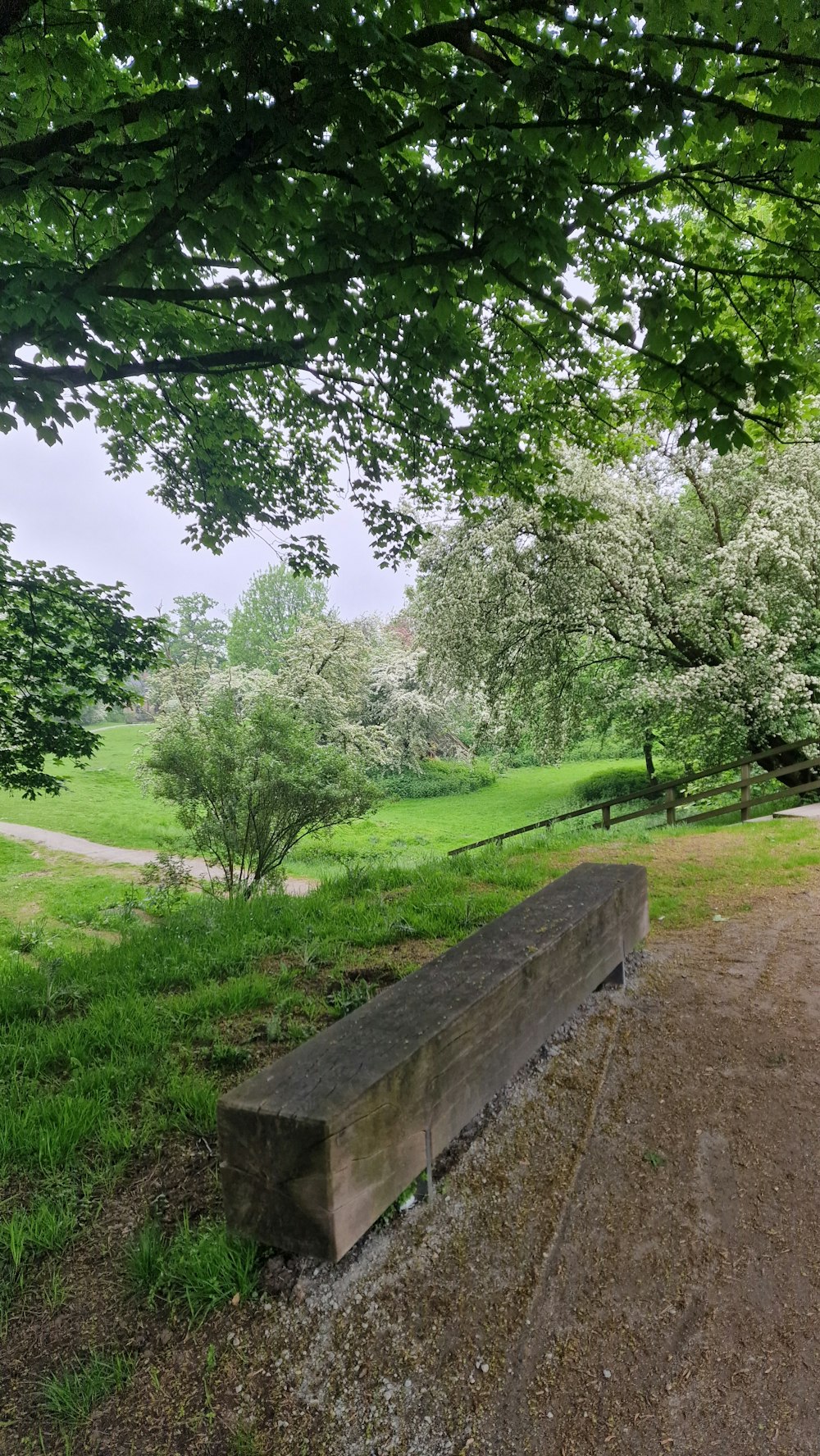 a wooden bench sitting in the middle of a lush green park