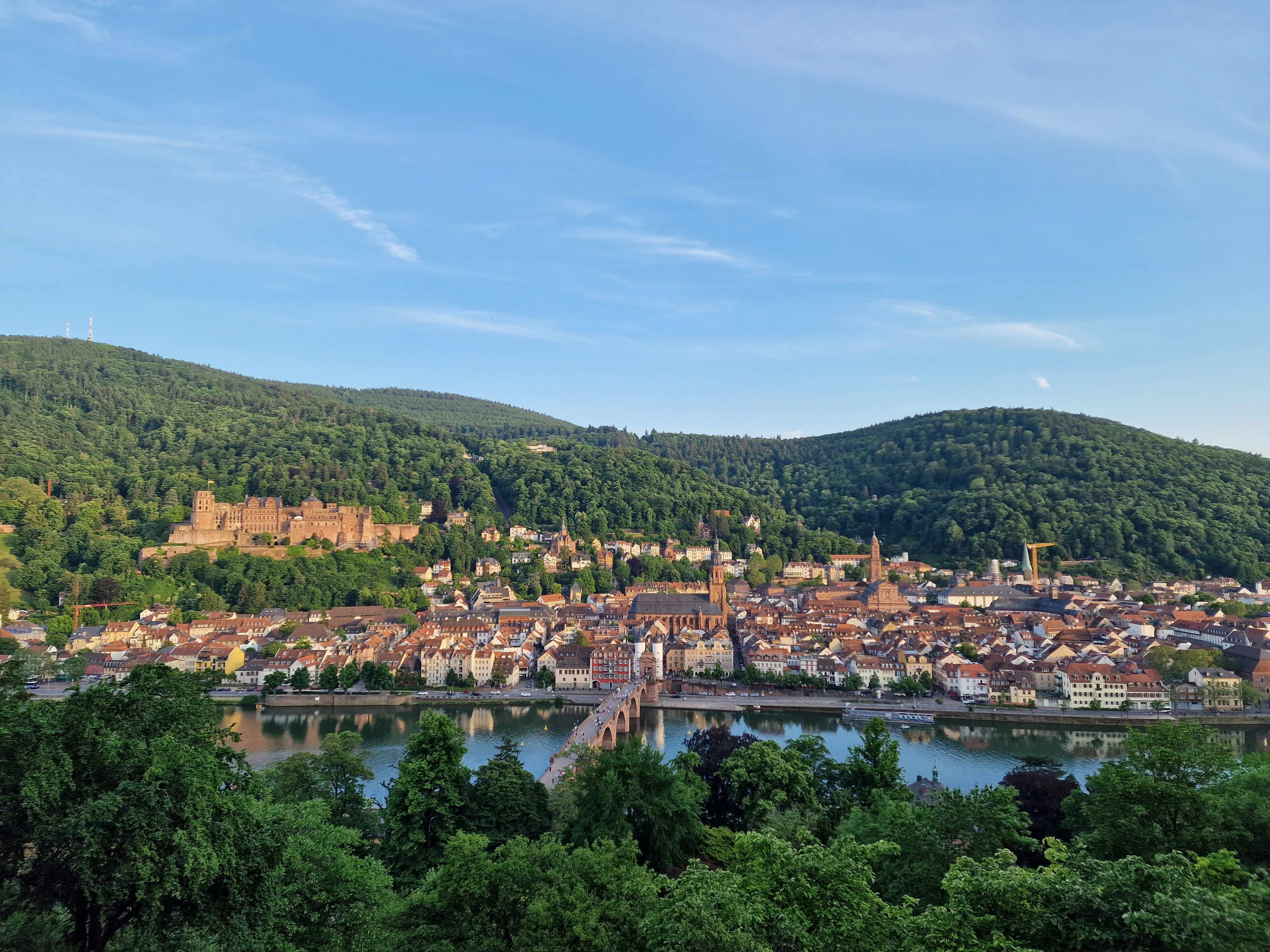 Photo by fatemehalizadeh_