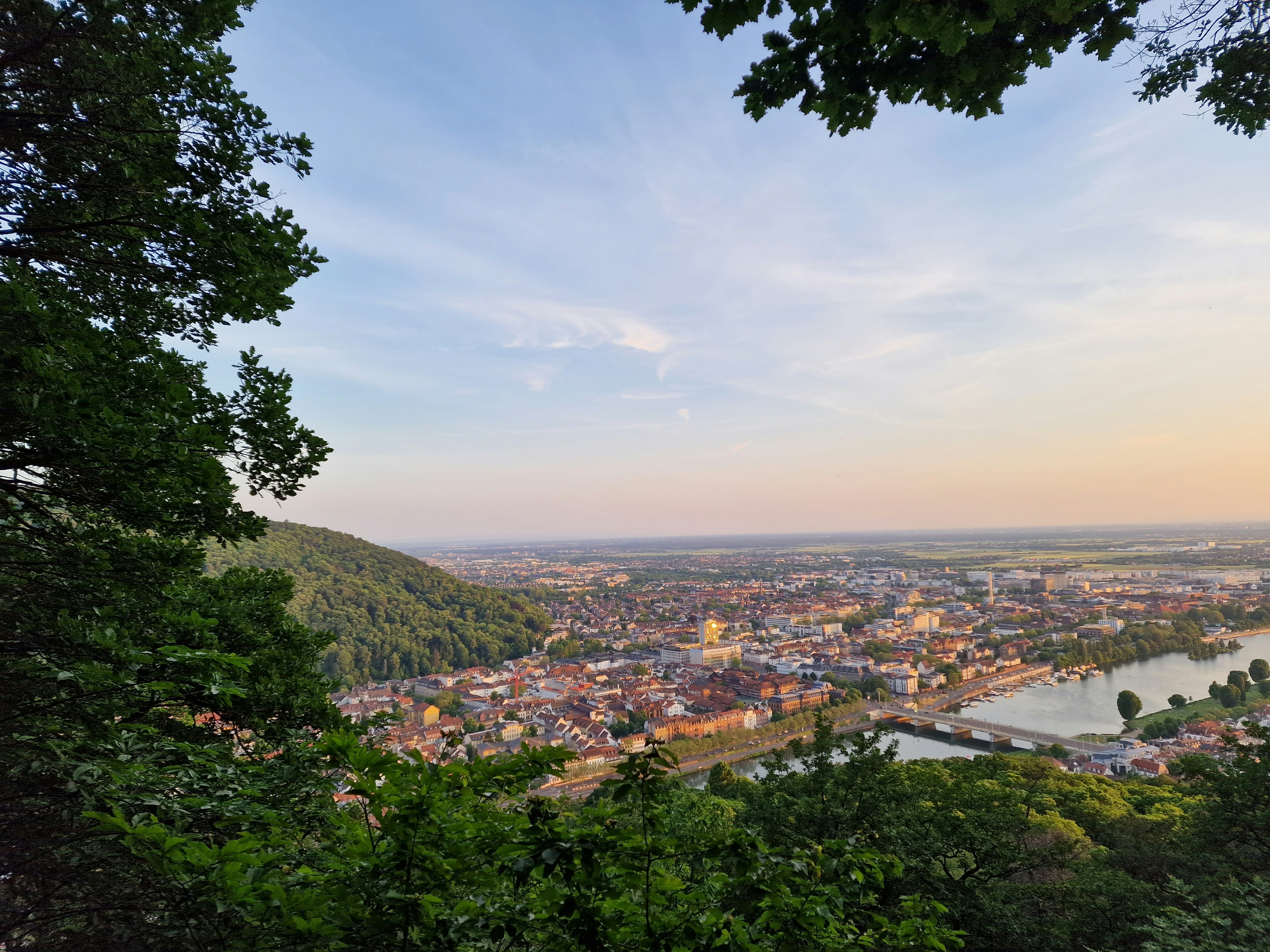 Photo by fatemehalizadeh_