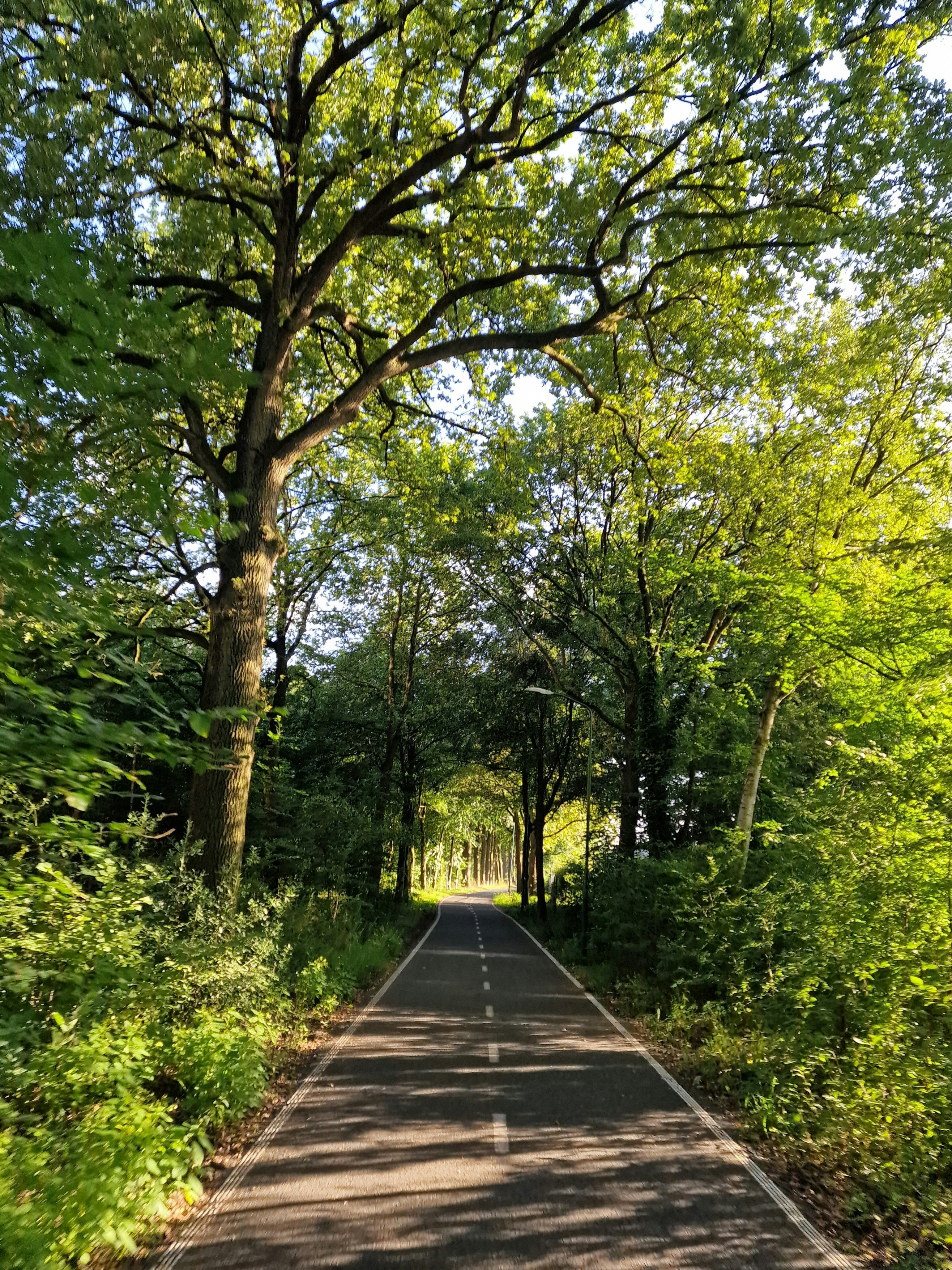 Photo by fatemehalizadeh_