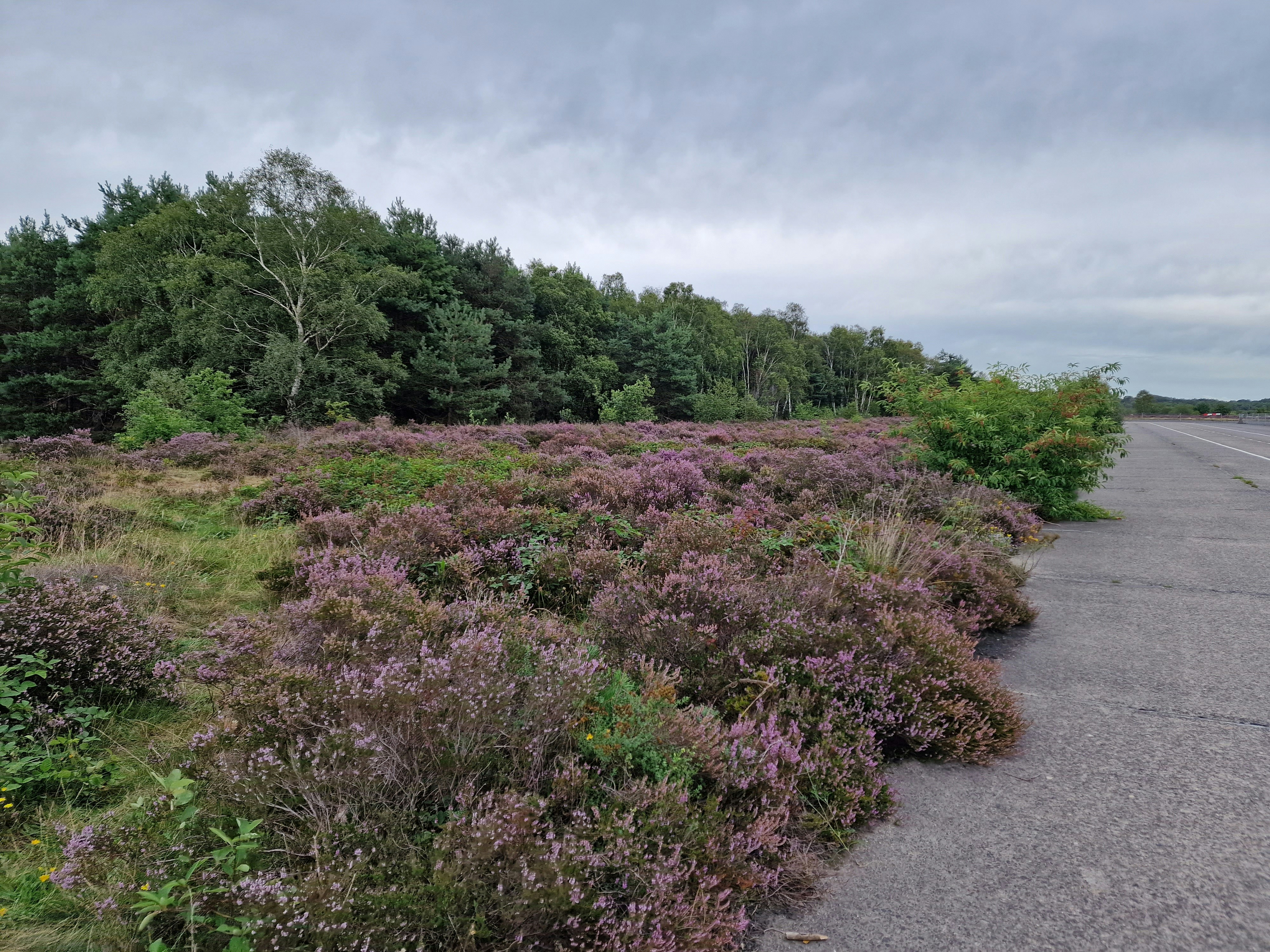 Photo by fatemehalizadeh_