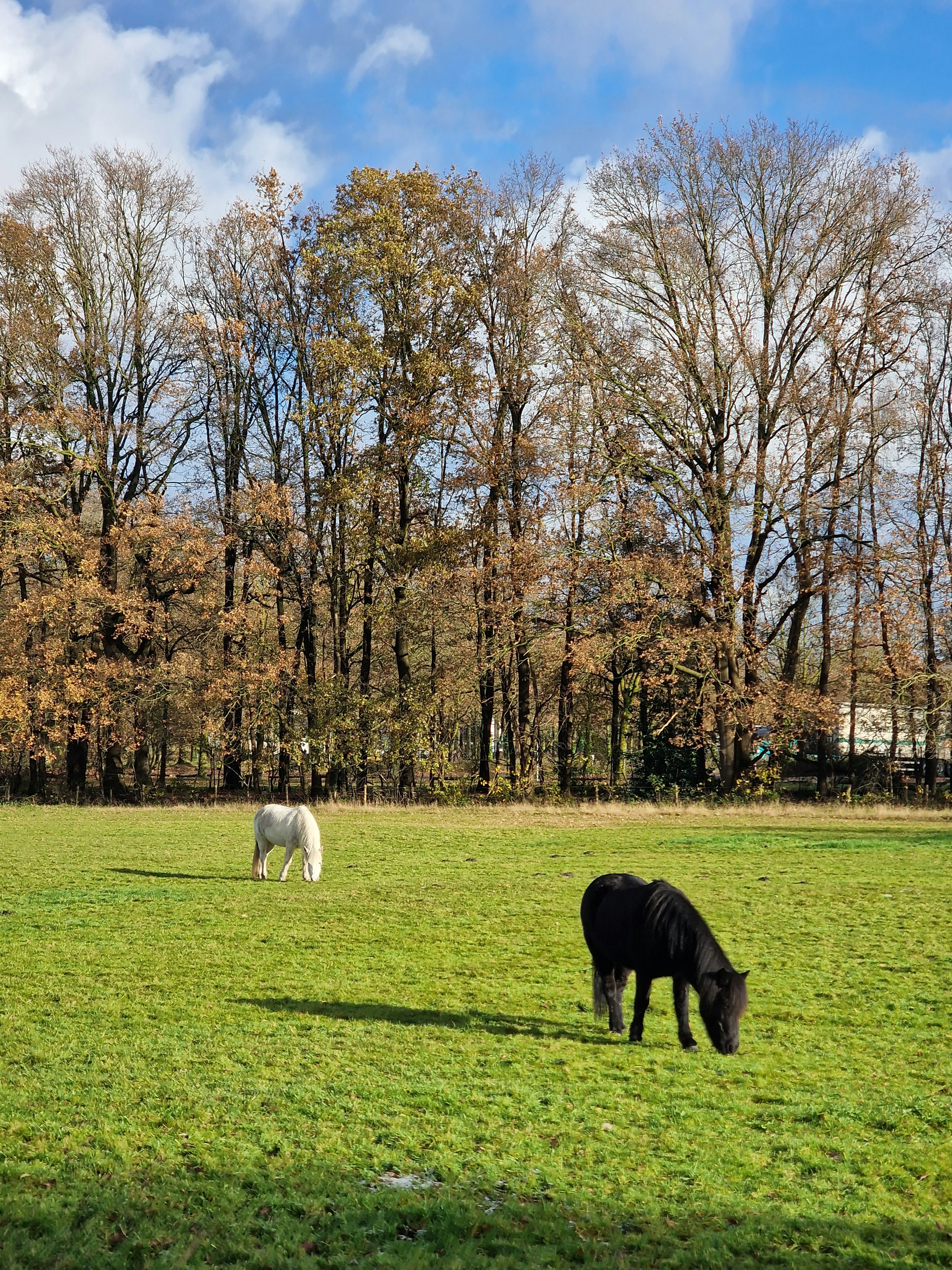 Photo by fatemehalizadeh_