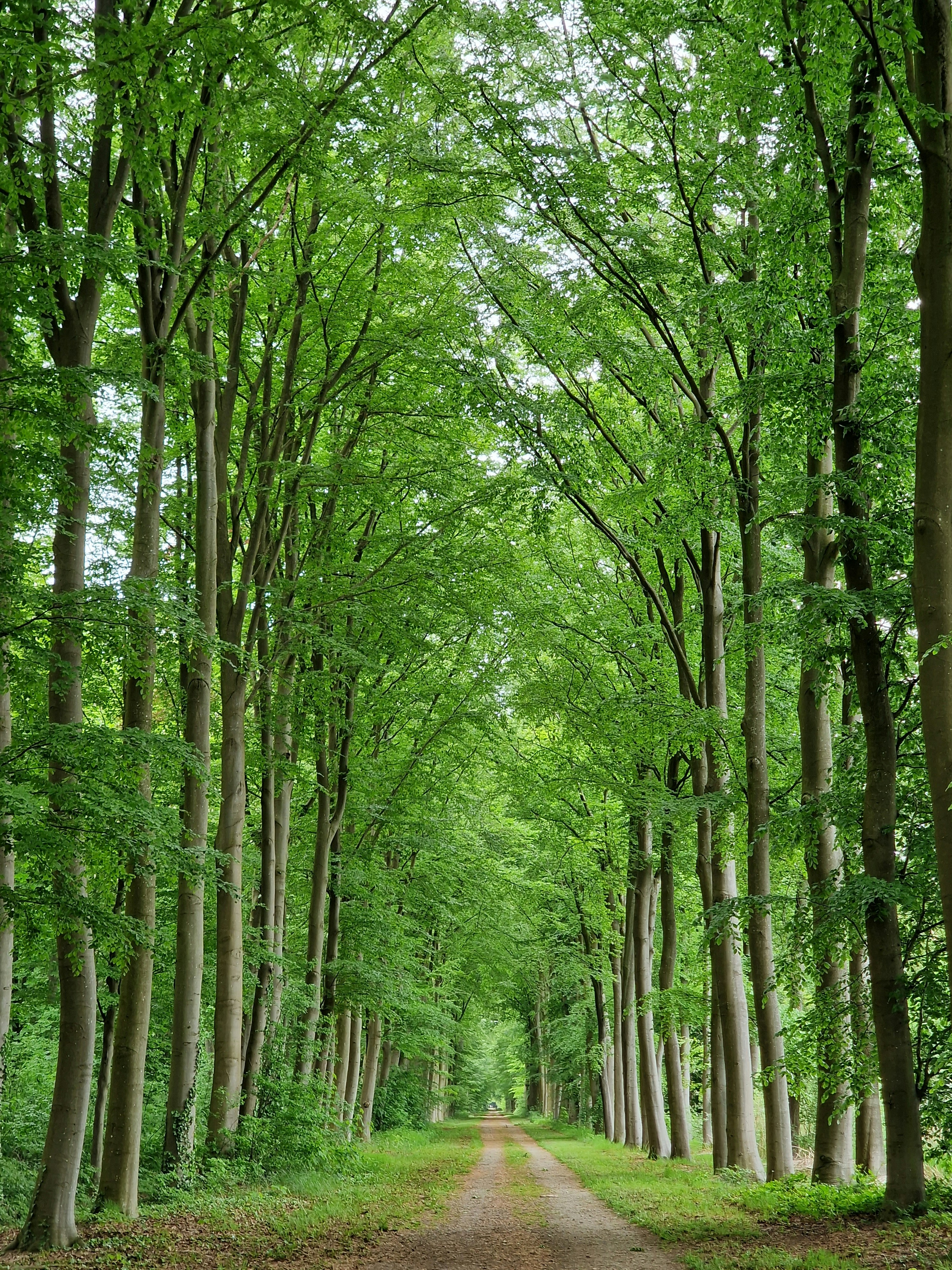 Photo by fatemehalizadeh_