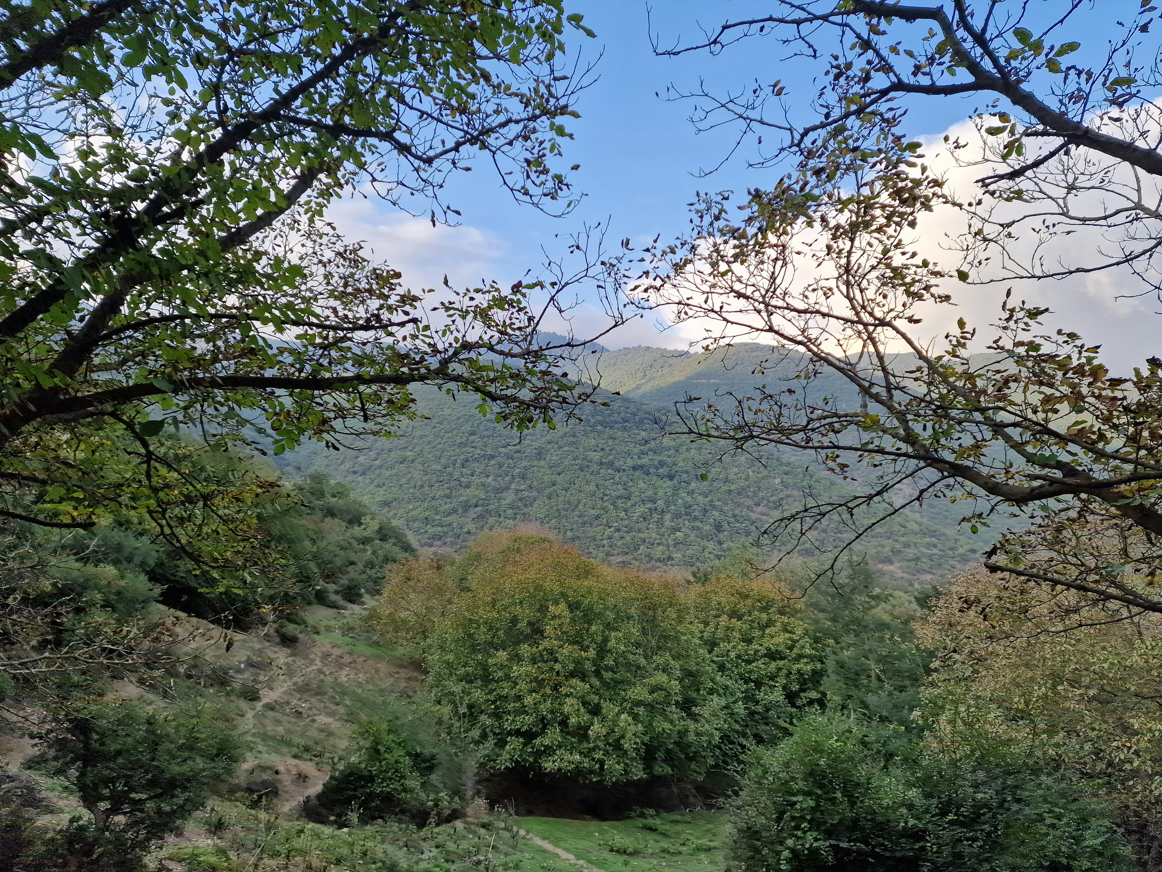 Photo by fatemehalizadeh_