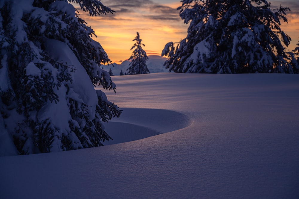 a snow covered field with trees in the background