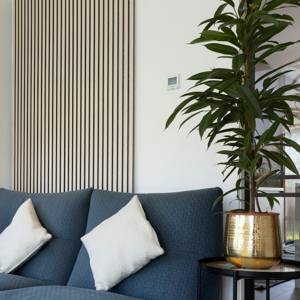 a living room with a blue couch and a potted plant