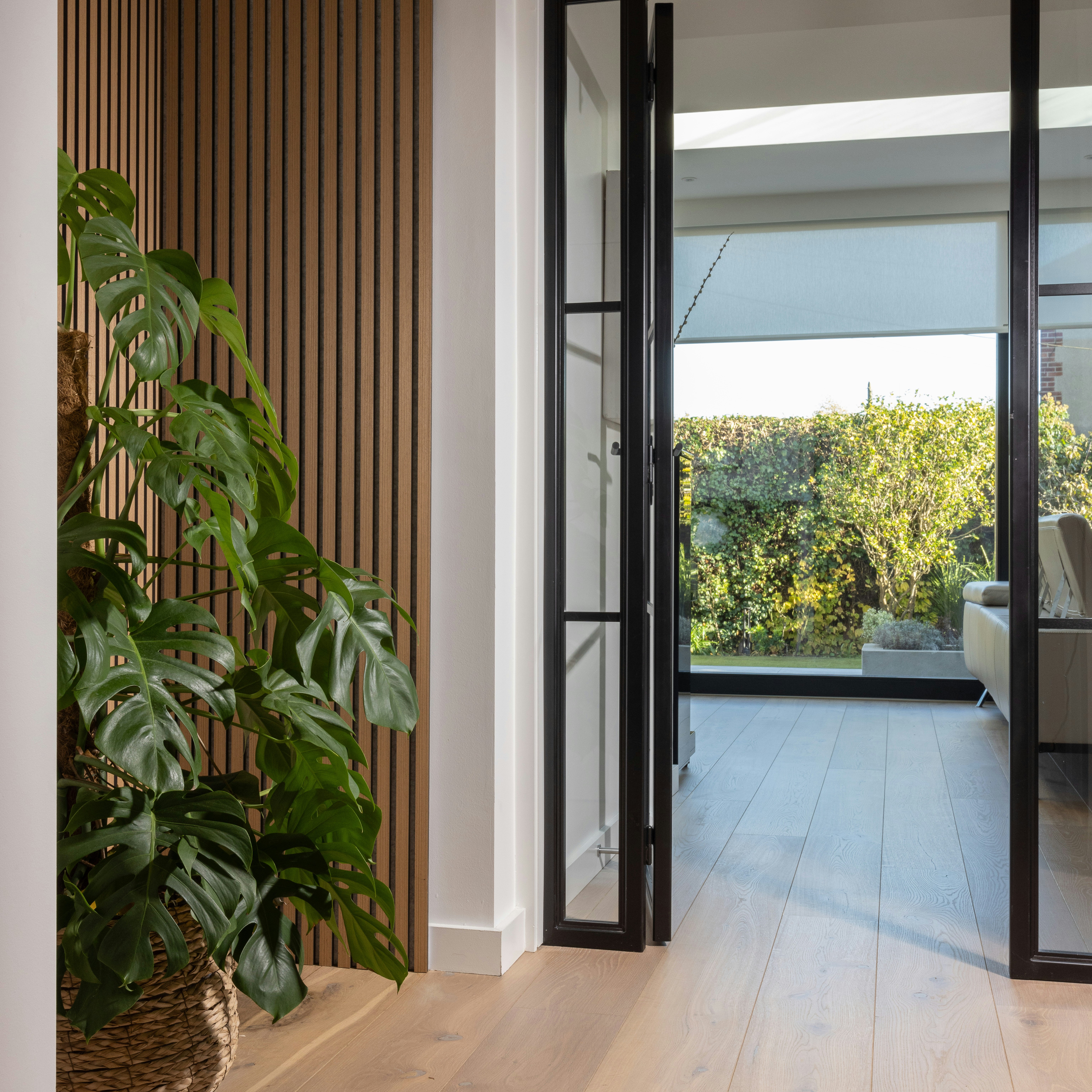 a living room filled with furniture and a potted plant