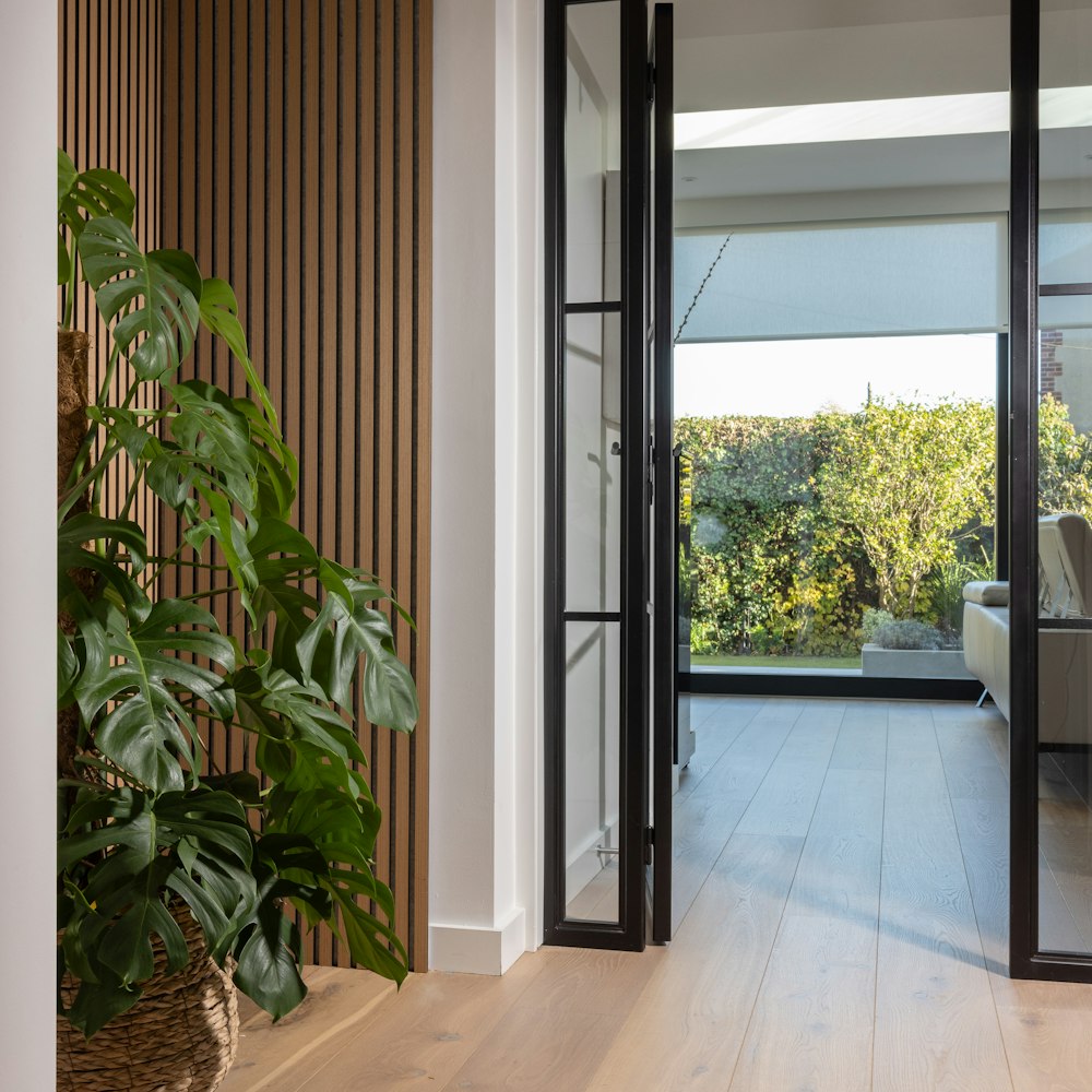 a living room filled with furniture and a potted plant