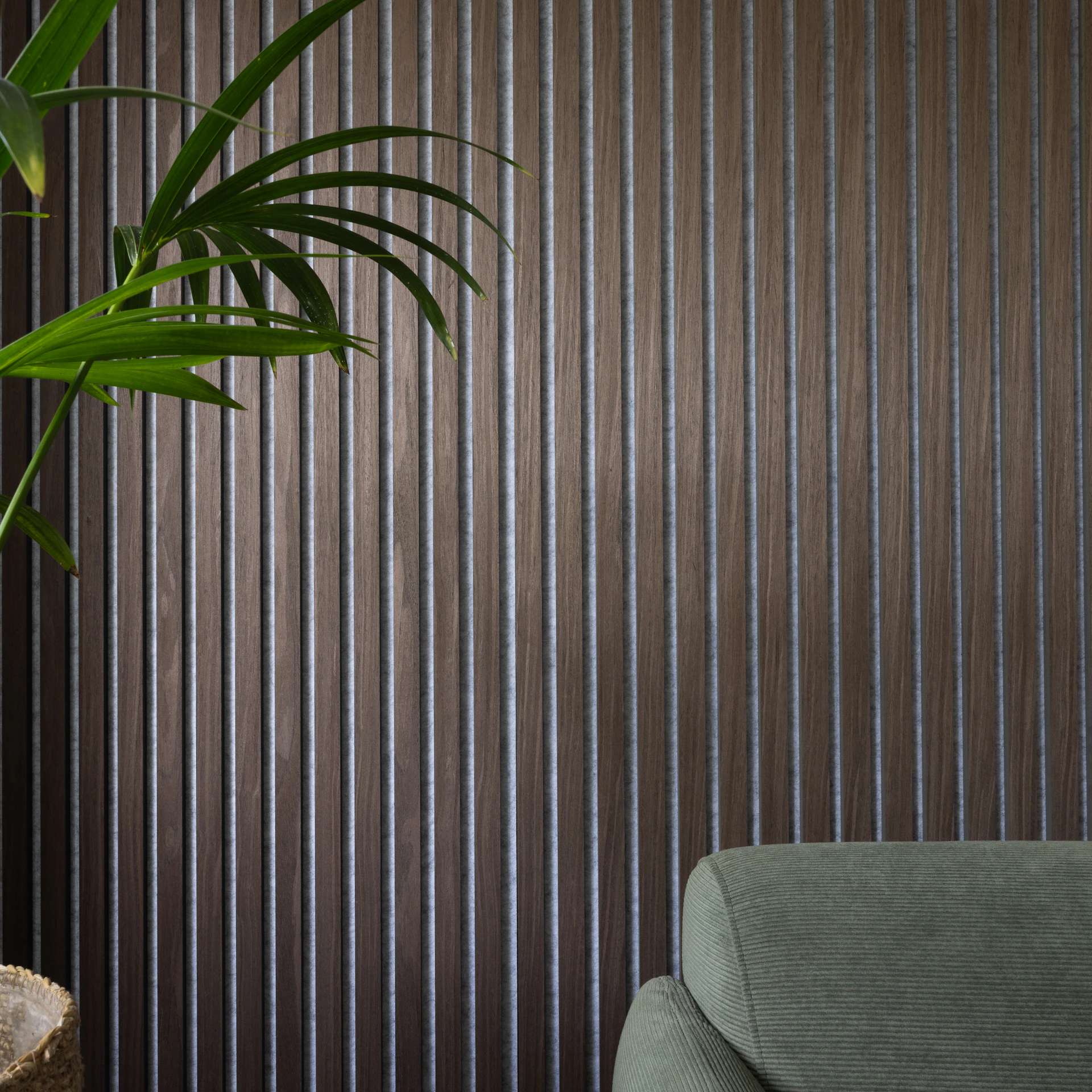 a green plant sitting on top of a wooden table