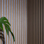 a potted plant sitting on top of a wooden table