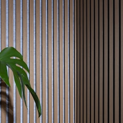 a potted plant sitting on top of a wooden table