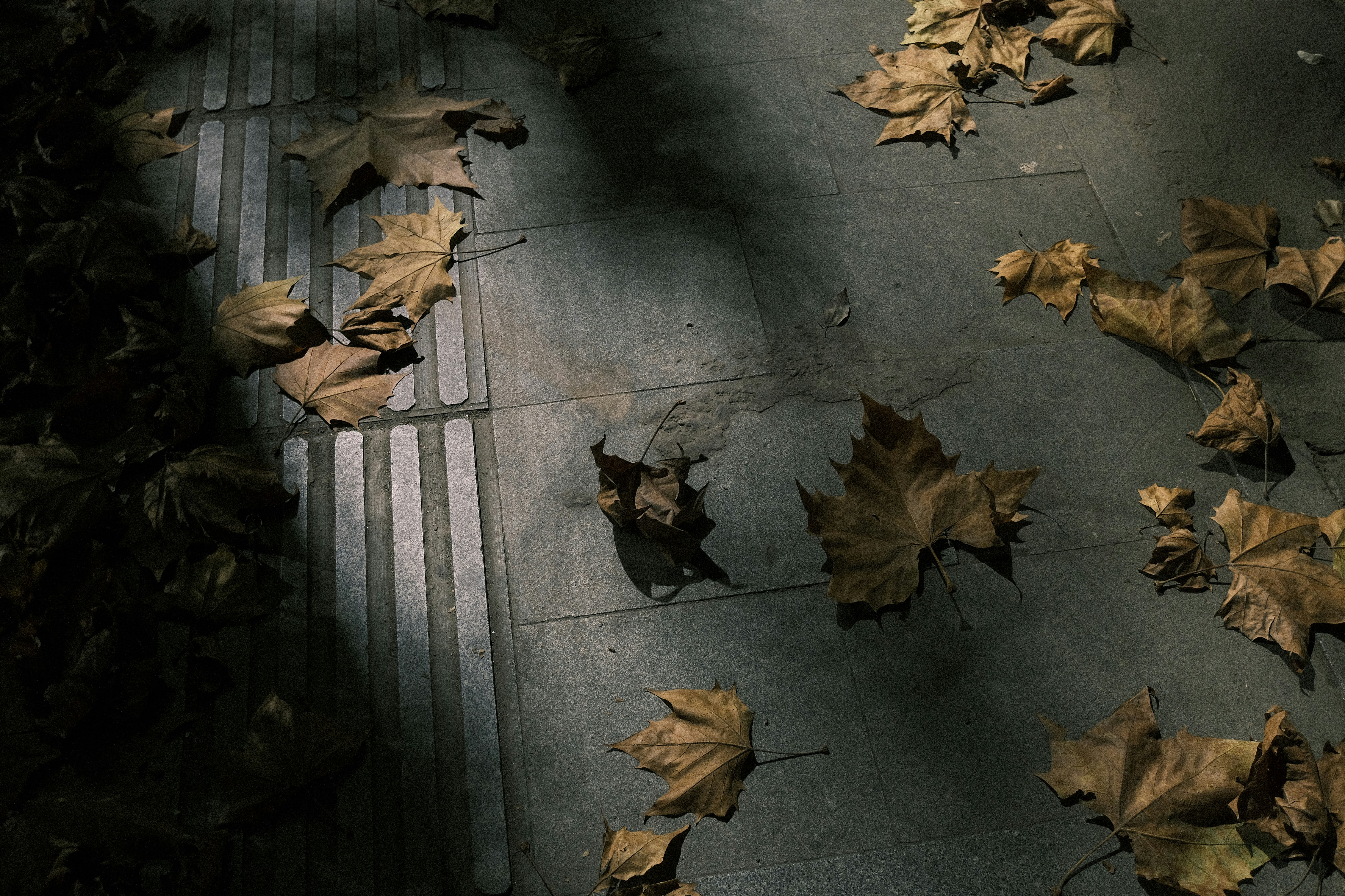 Photo by haodeng77777