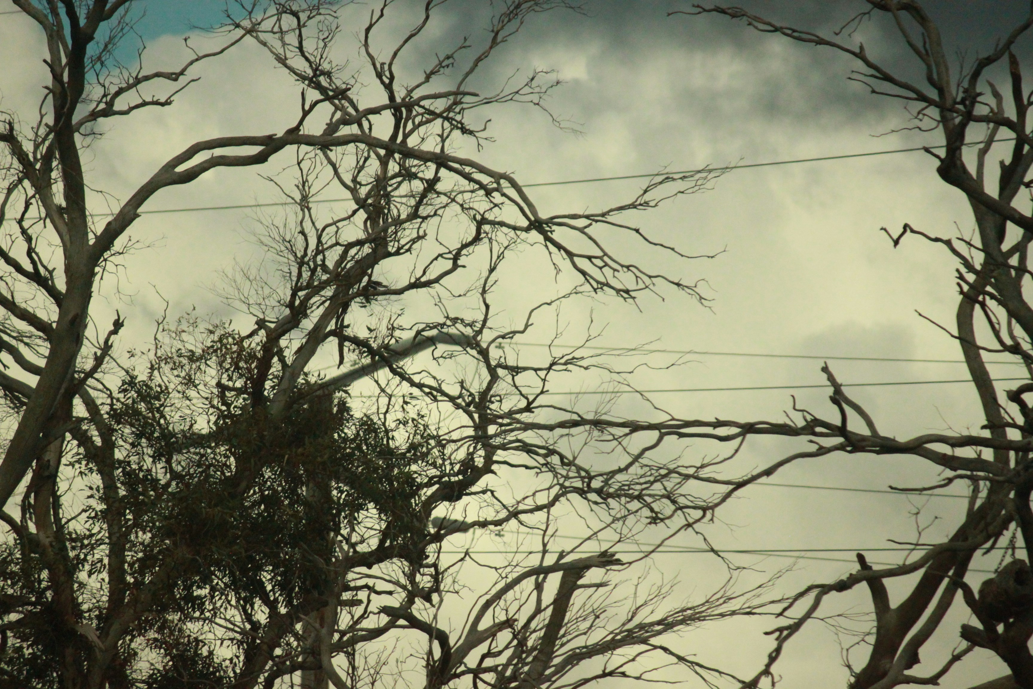 Photo by chayse_larsen