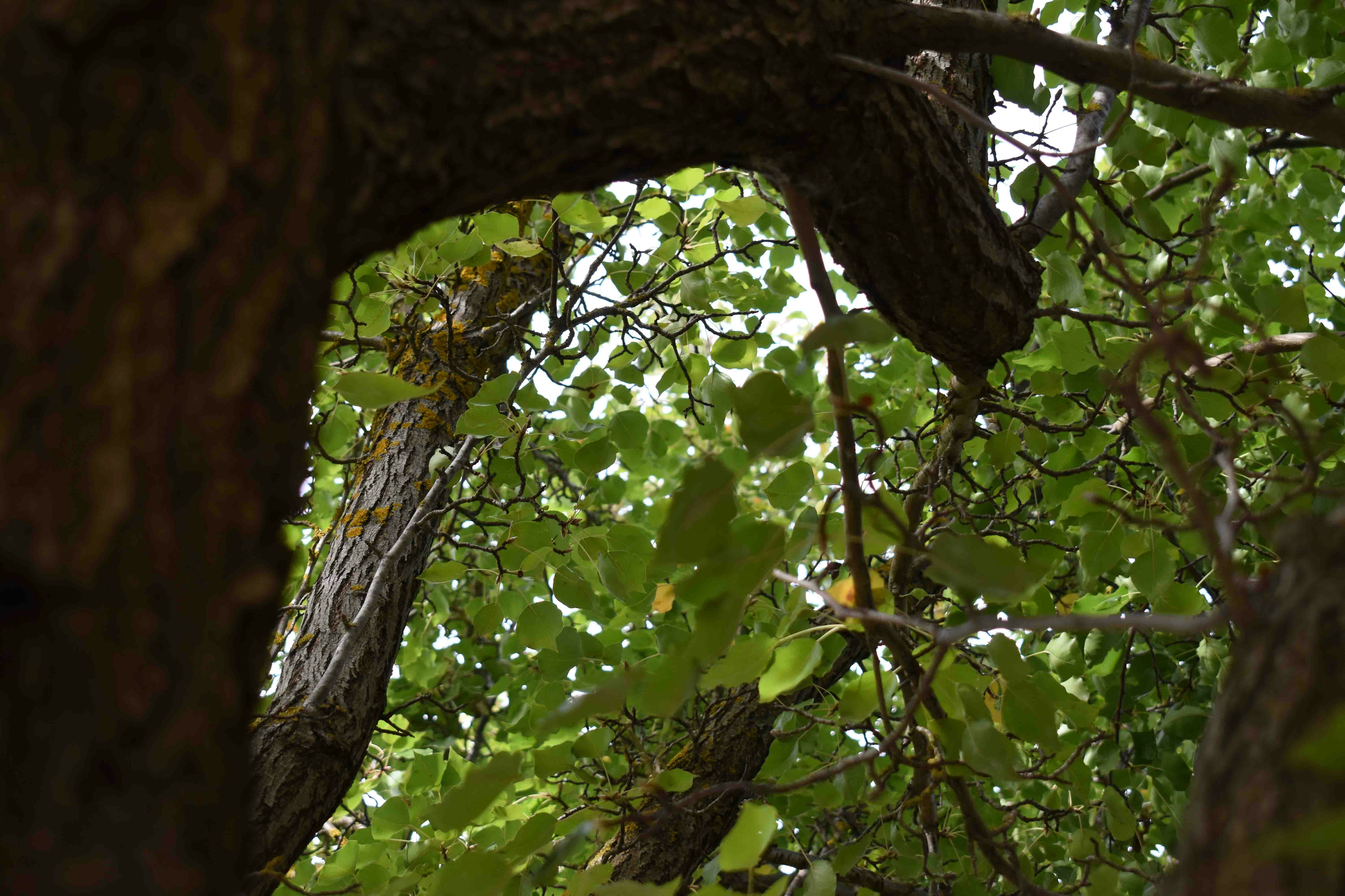 Photo by chayse_larsen