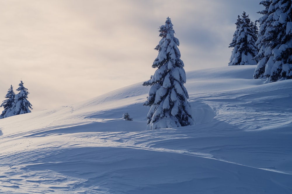 a person riding skis down a snow covered slope