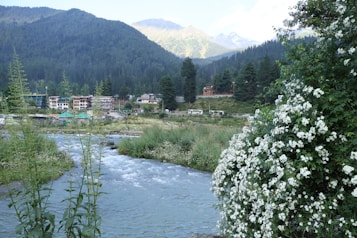 A serene landscape featuring a gentle flowing river bordered by lush greenery and blooming white flowers. In the background, a cluster of traditional houses with colored roofs sits at the base of densely forested hills, with majestic mountains rising in the distance under a partially cloudy sky.