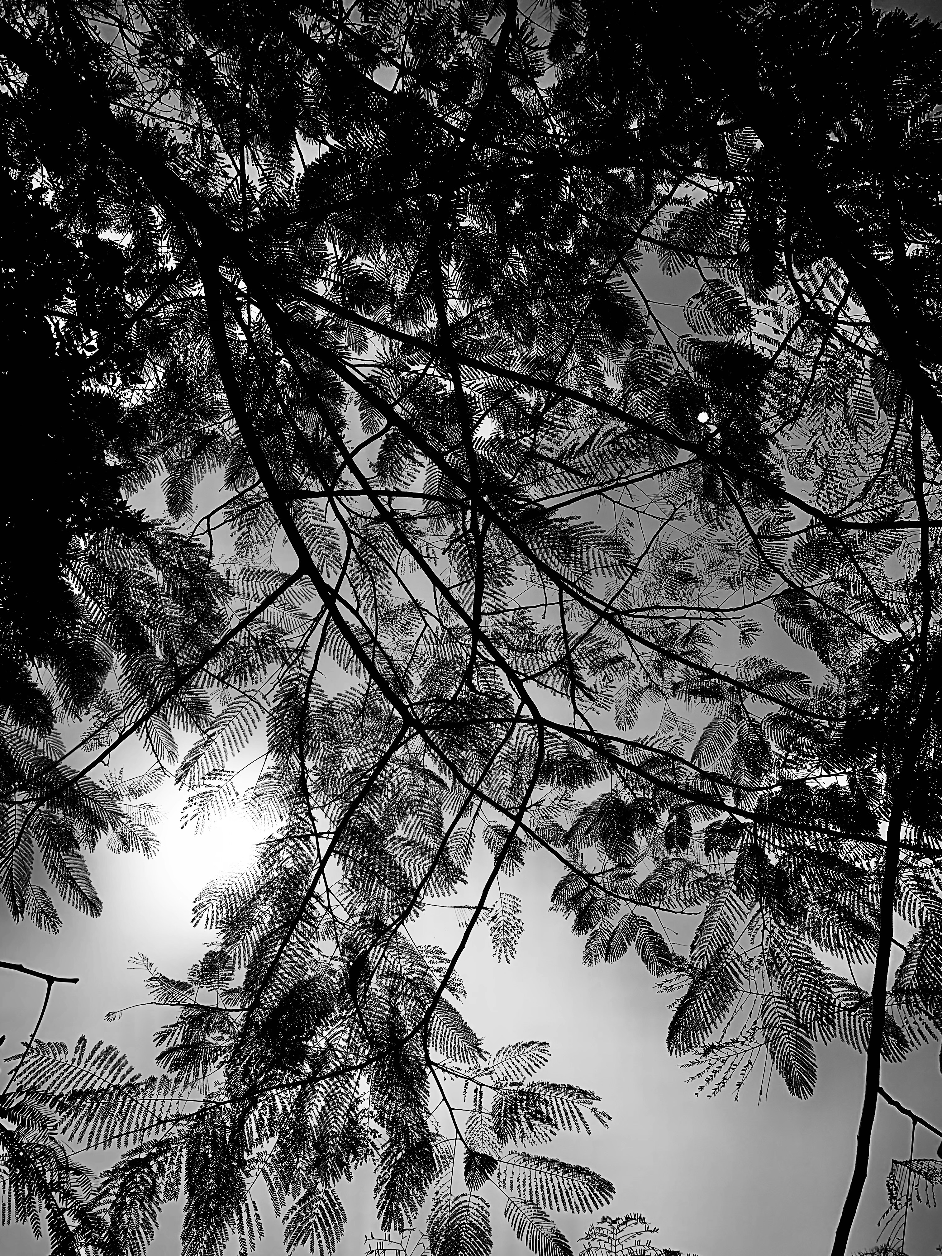 Photo by whatever_27