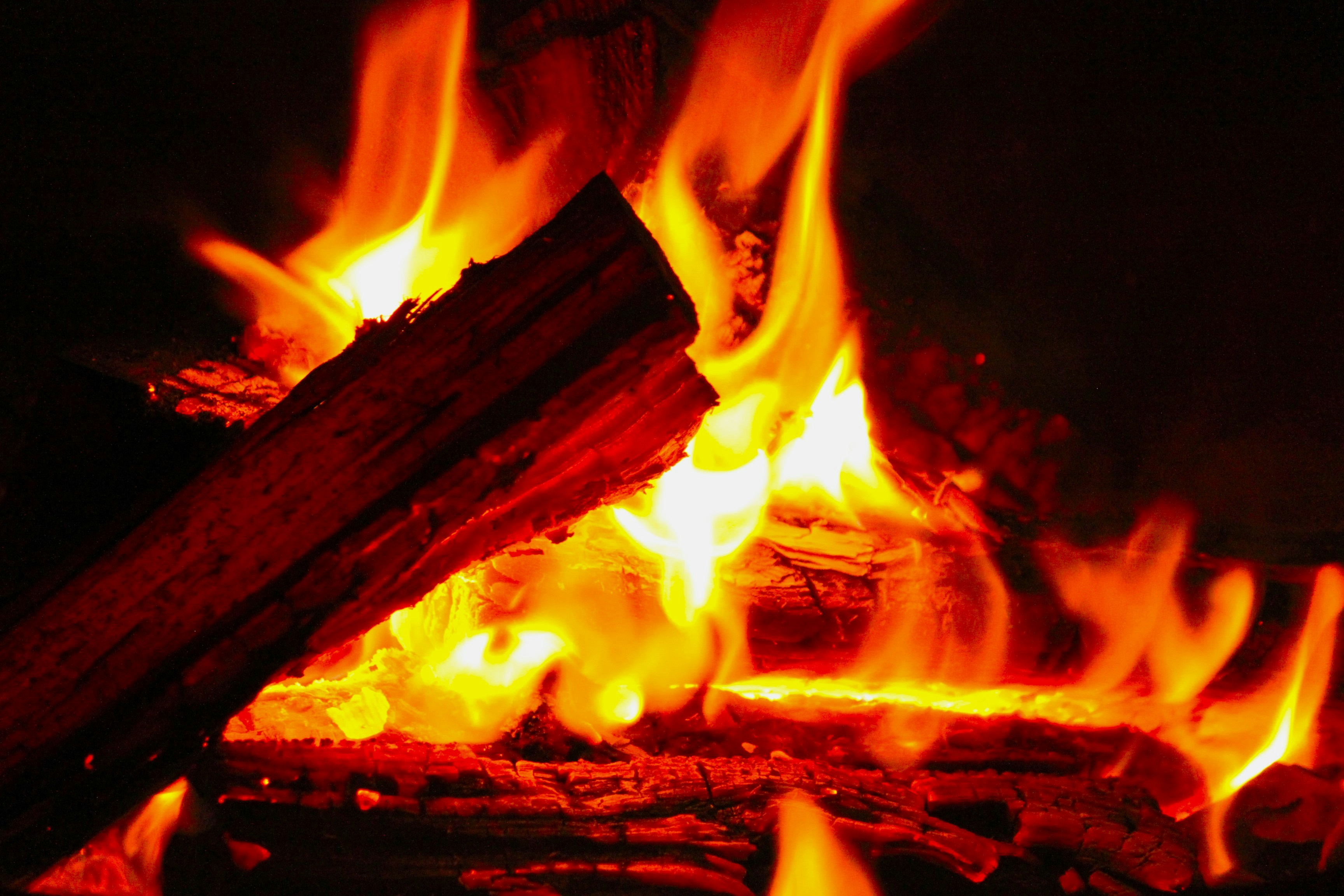 Photo by chayse_larsen