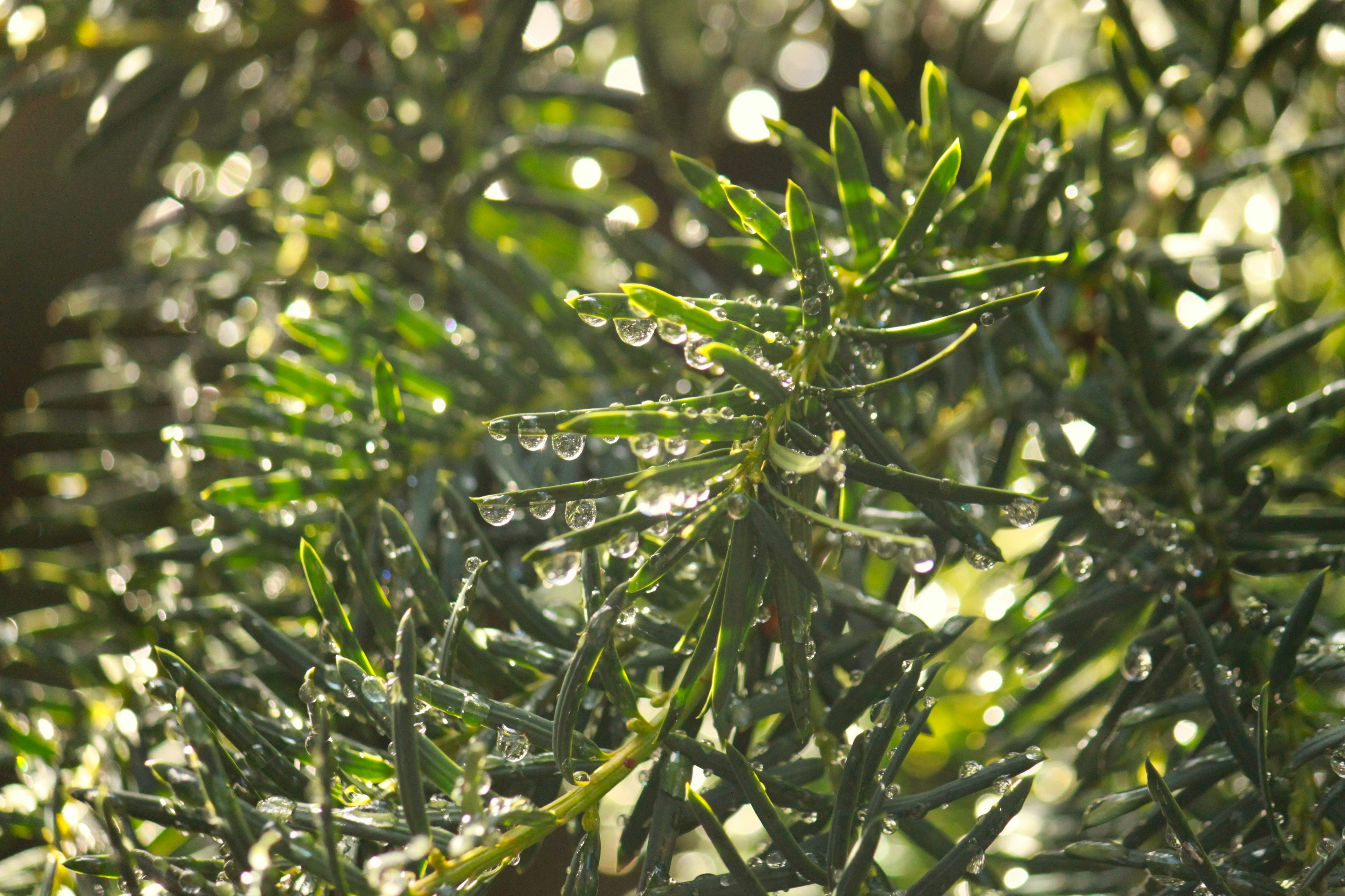 Photo by chayse_larsen