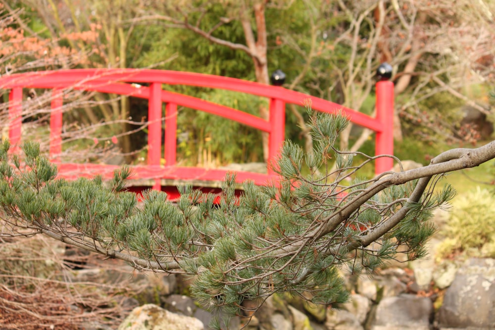 a red bridge over a pond with a red bridge in the background